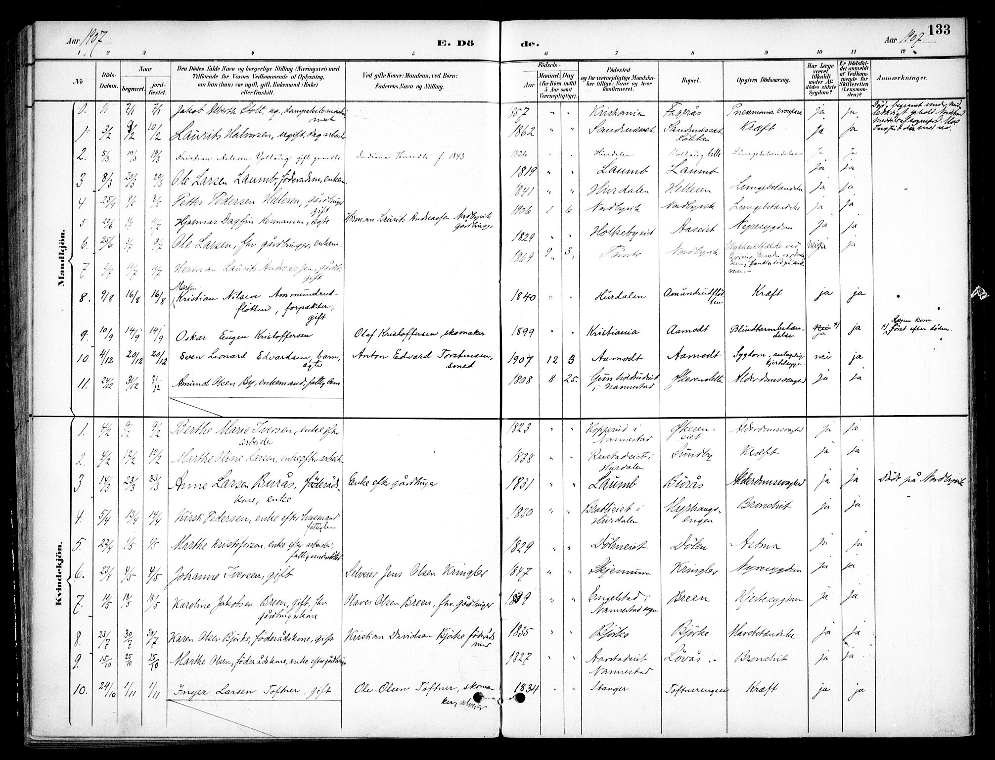 Nannestad prestekontor Kirkebøker, AV/SAO-A-10414a/F/Fc/L0002: Ministerialbok nr. III 2, 1893-1907, s. 133