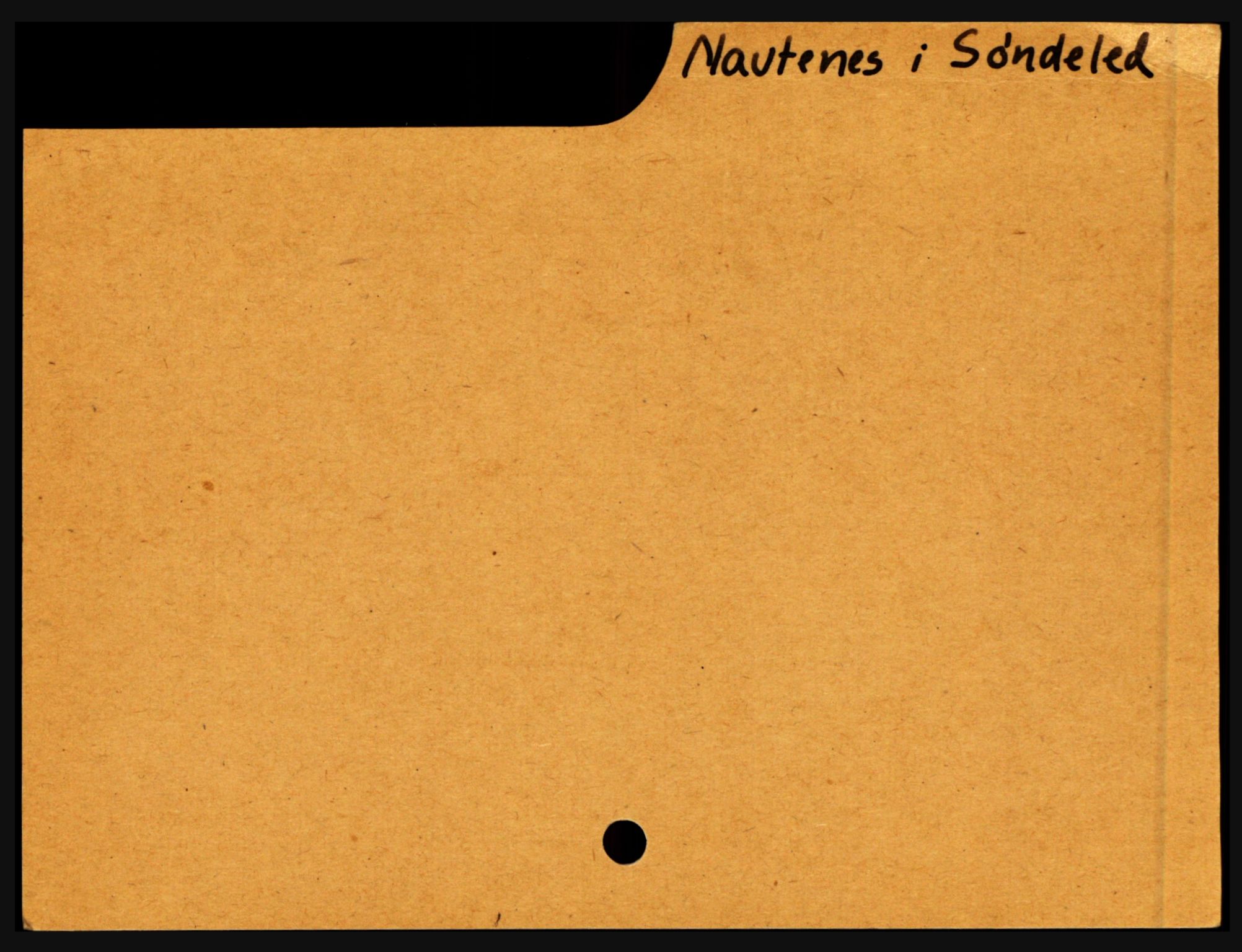 Nedenes sorenskriveri før 1824, SAK/1221-0007/H, s. 21407