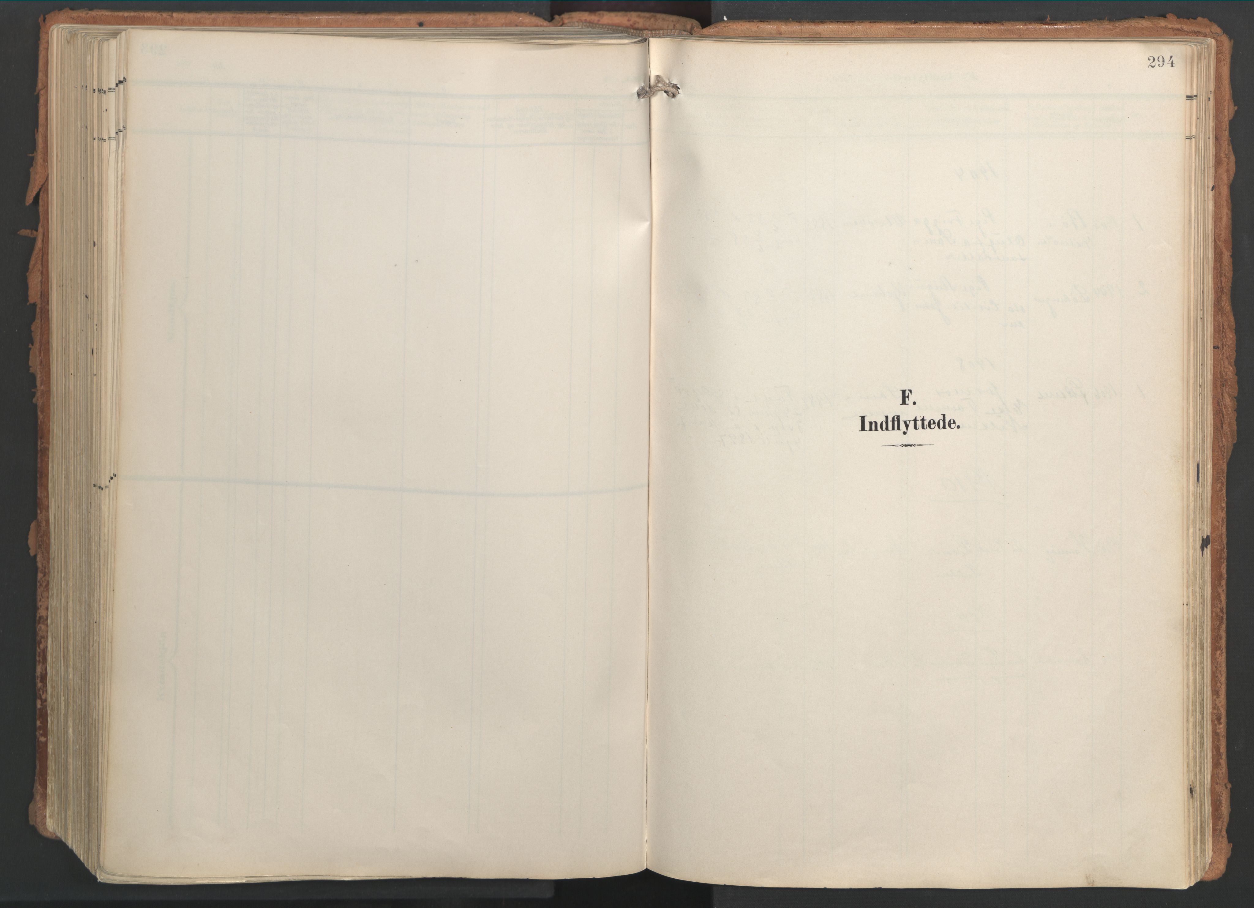 Ministerialprotokoller, klokkerbøker og fødselsregistre - Nordland, SAT/A-1459/861/L0871: Ministerialbok nr. 861A06, 1903-1916, s. 294