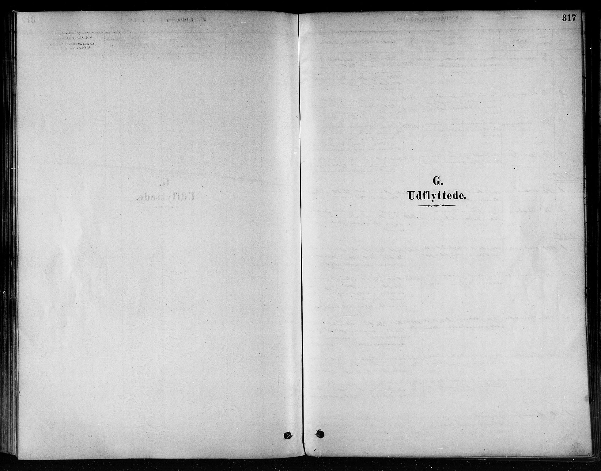 Ministerialprotokoller, klokkerbøker og fødselsregistre - Nord-Trøndelag, AV/SAT-A-1458/746/L0449: Ministerialbok nr. 746A07 /2, 1878-1899, s. 317