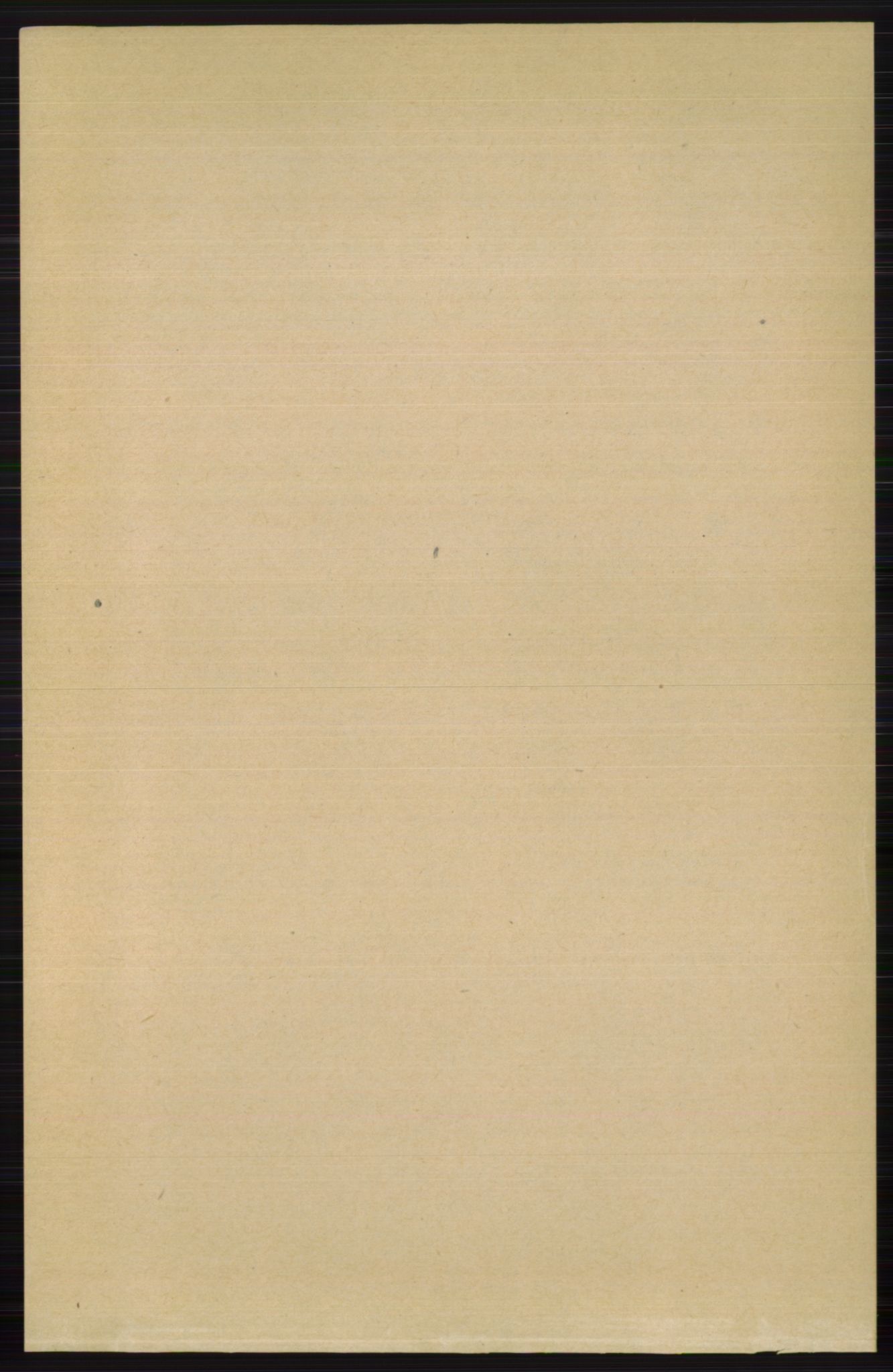 RA, Folketelling 1891 for 0542 Nord-Aurdal herred, 1891, s. 4500
