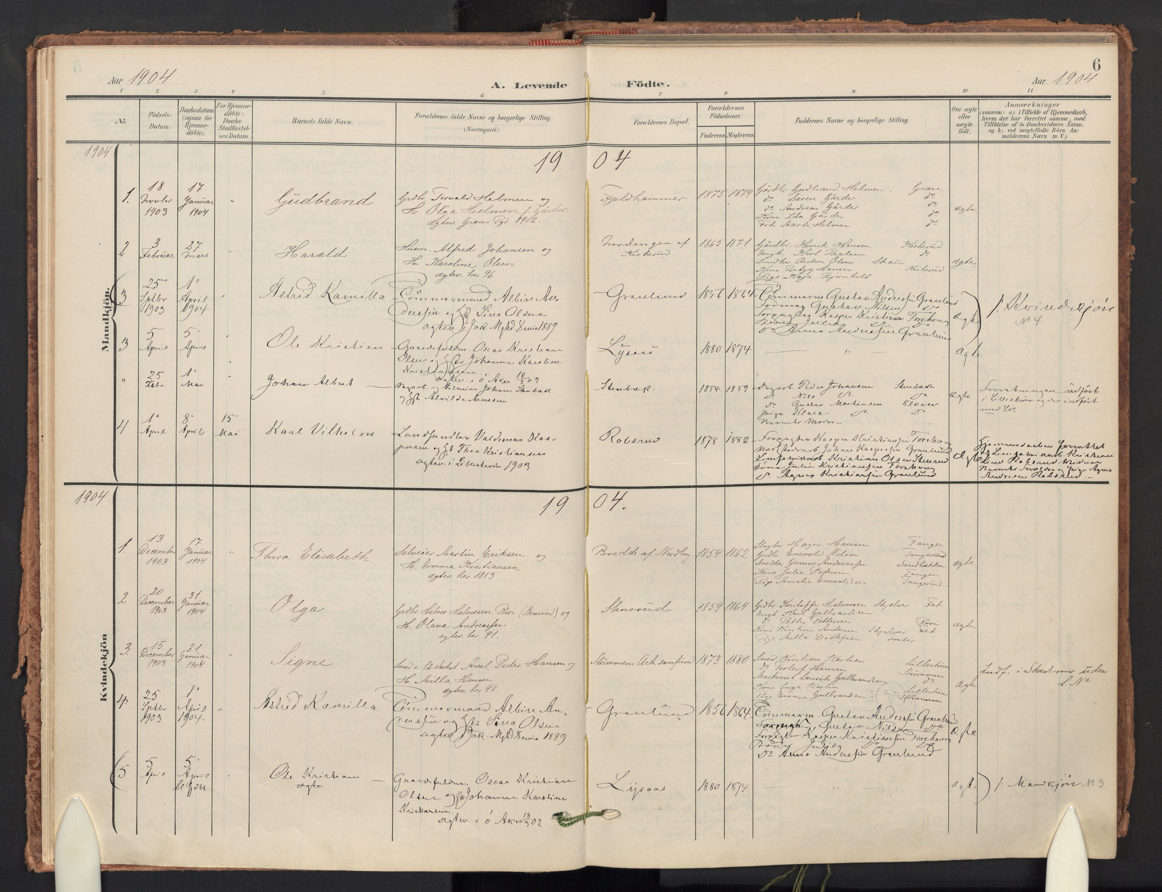 Skedsmo prestekontor Kirkebøker, AV/SAO-A-10033a/F/Fb/L0002: Ministerialbok nr. II 2, 1902-1921, s. 6