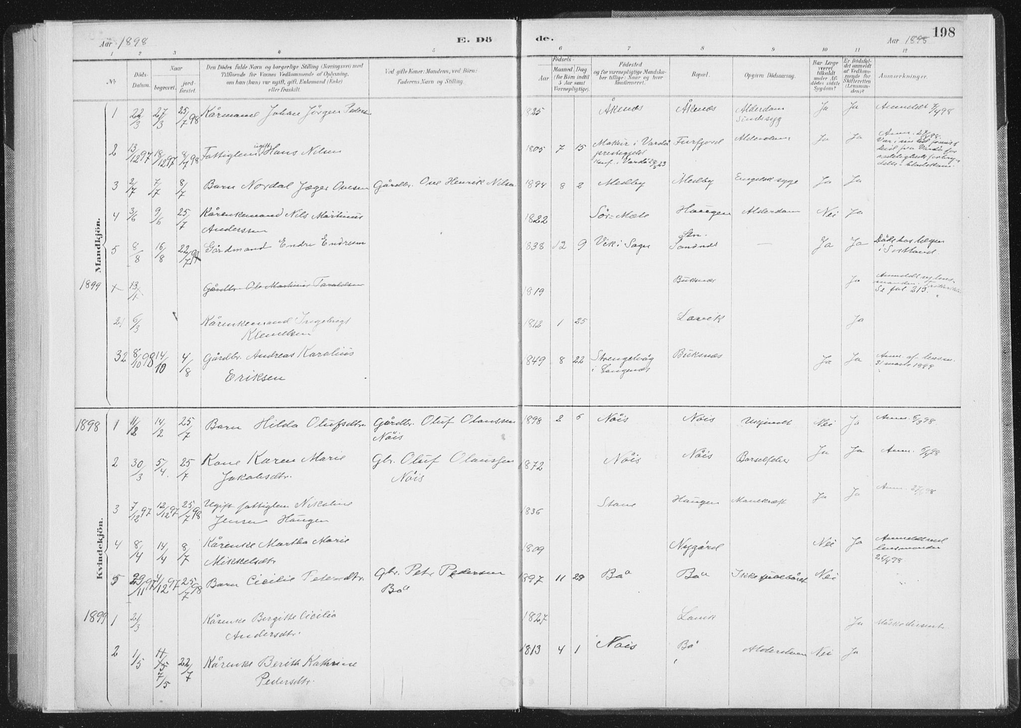 Ministerialprotokoller, klokkerbøker og fødselsregistre - Nordland, SAT/A-1459/898/L1422: Ministerialbok nr. 898A02, 1887-1908, s. 198