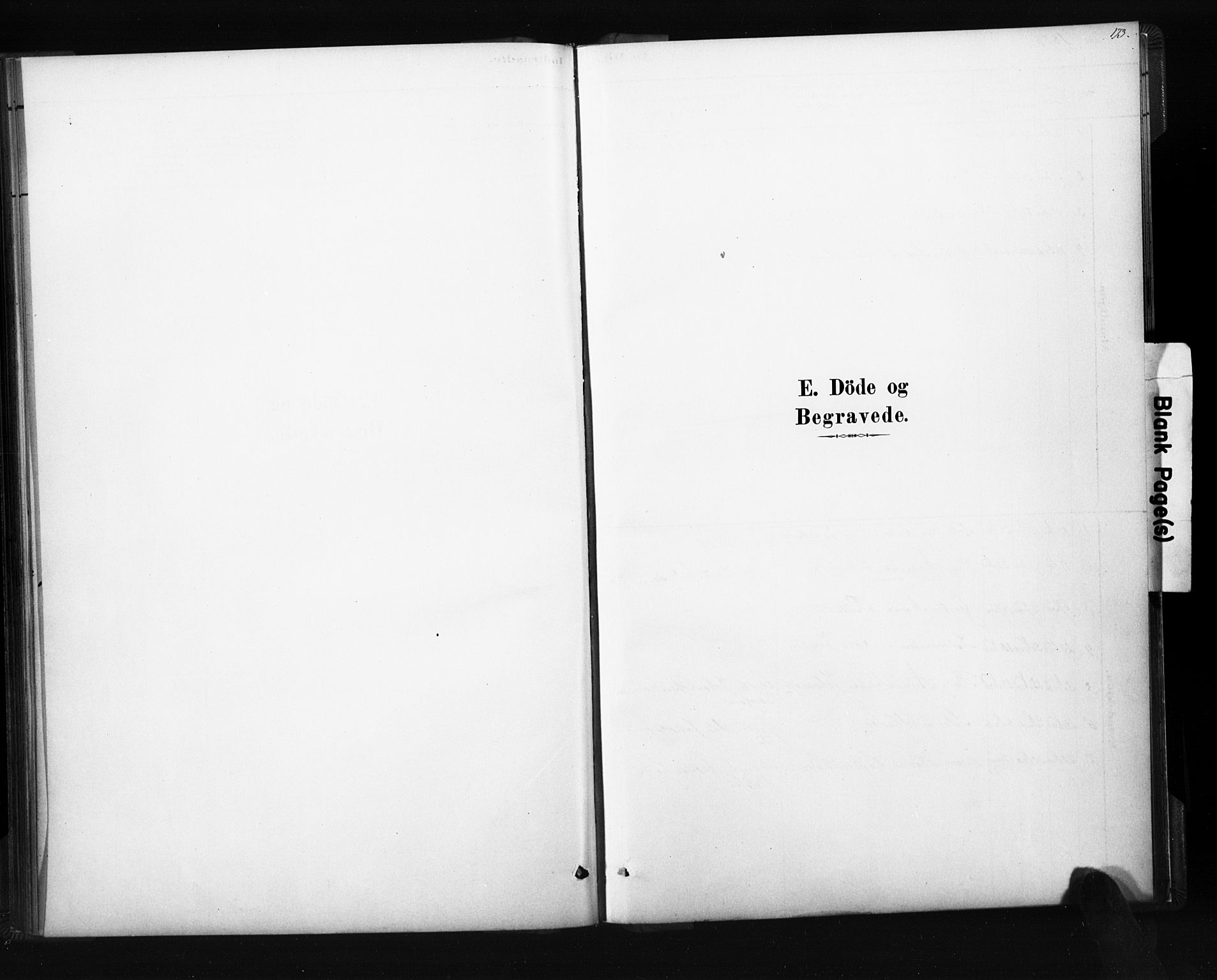 Ramnes kirkebøker, SAKO/A-314/F/Fc/L0001: Ministerialbok nr. III 1, 1878-1899, s. 172-173