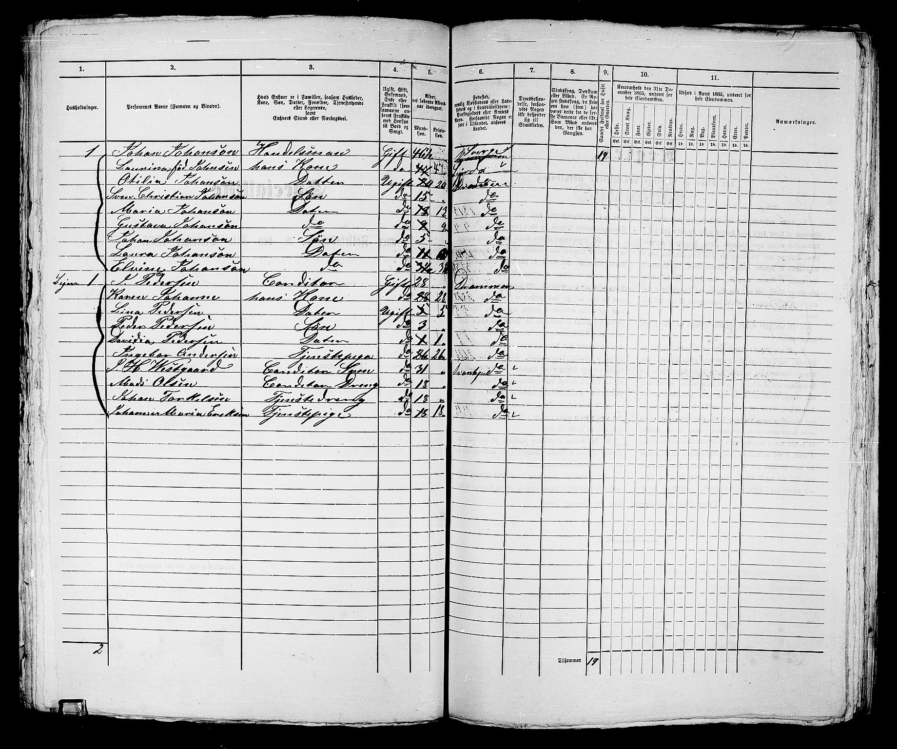 RA, Folketelling 1865 for 0602bP Strømsø prestegjeld i Drammen kjøpstad, 1865, s. 256