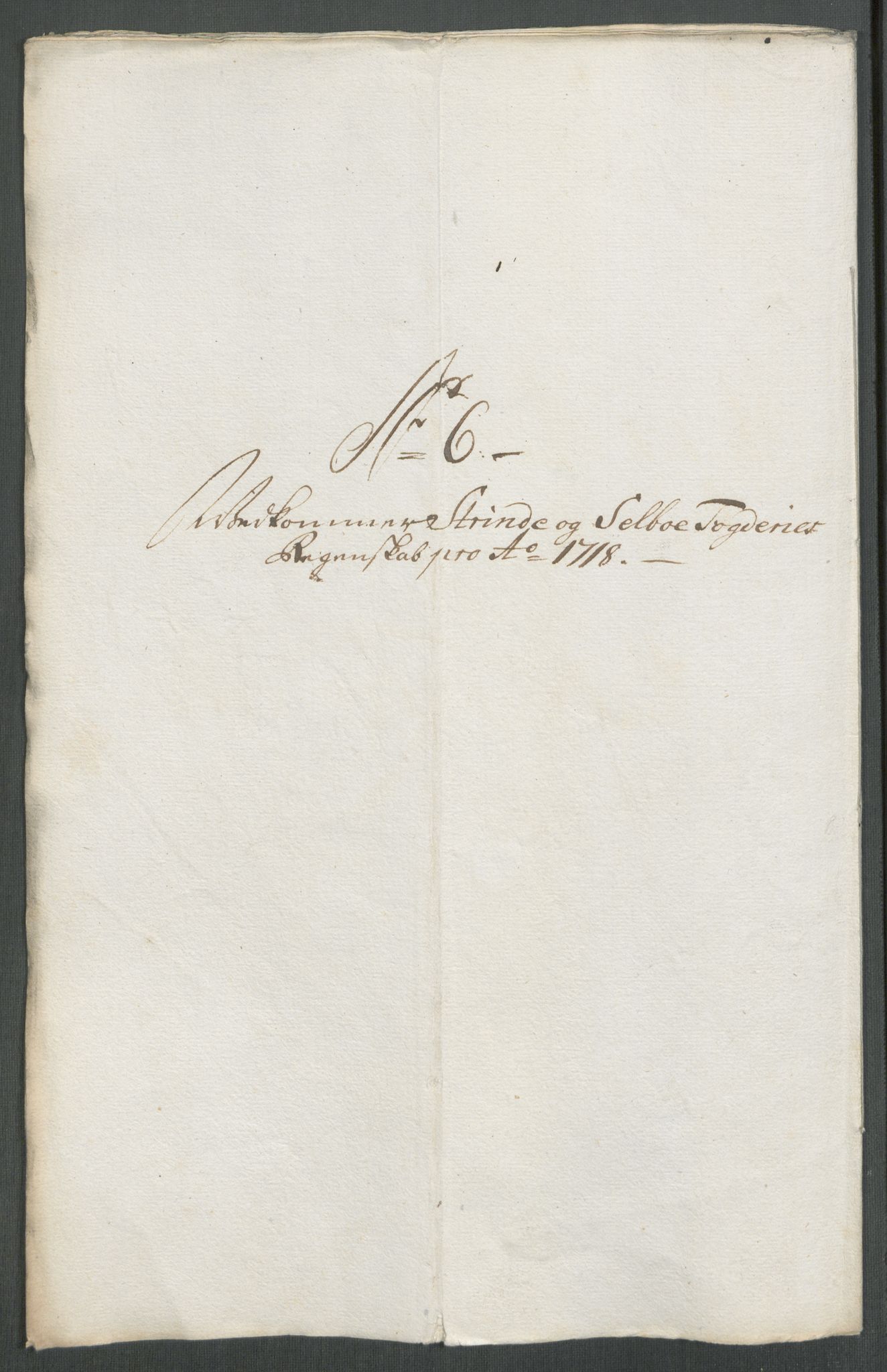 Rentekammeret inntil 1814, Reviderte regnskaper, Fogderegnskap, RA/EA-4092/R61/L4116: Fogderegnskap Strinda og Selbu, 1717-1718, s. 383