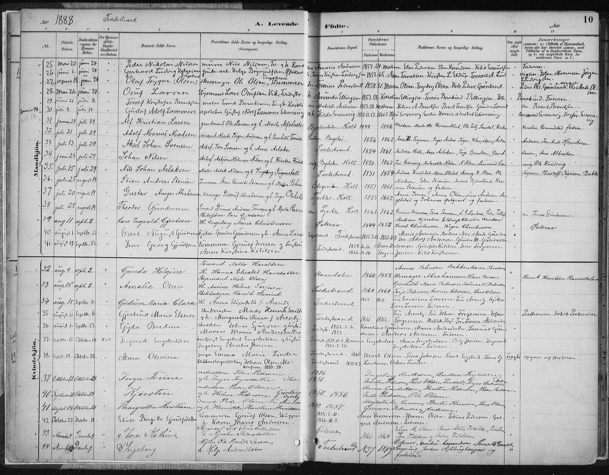 Tvedestrand sokneprestkontor, AV/SAK-1111-0042/F/Fa/L0001: Ministerialbok nr. A 1, 1885-1916, s. 10