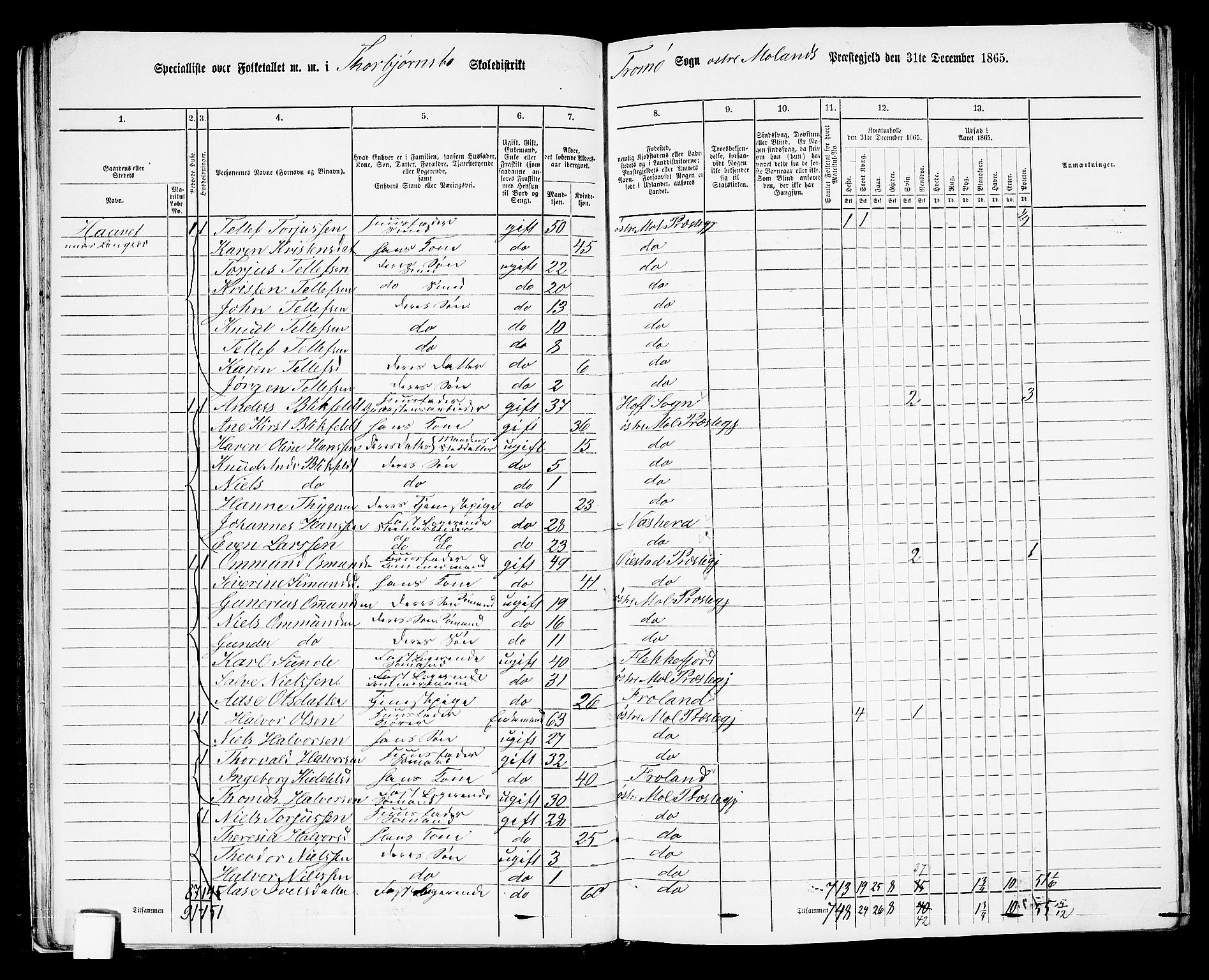 RA, Folketelling 1865 for 0918P Austre Moland prestegjeld, 1865, s. 41