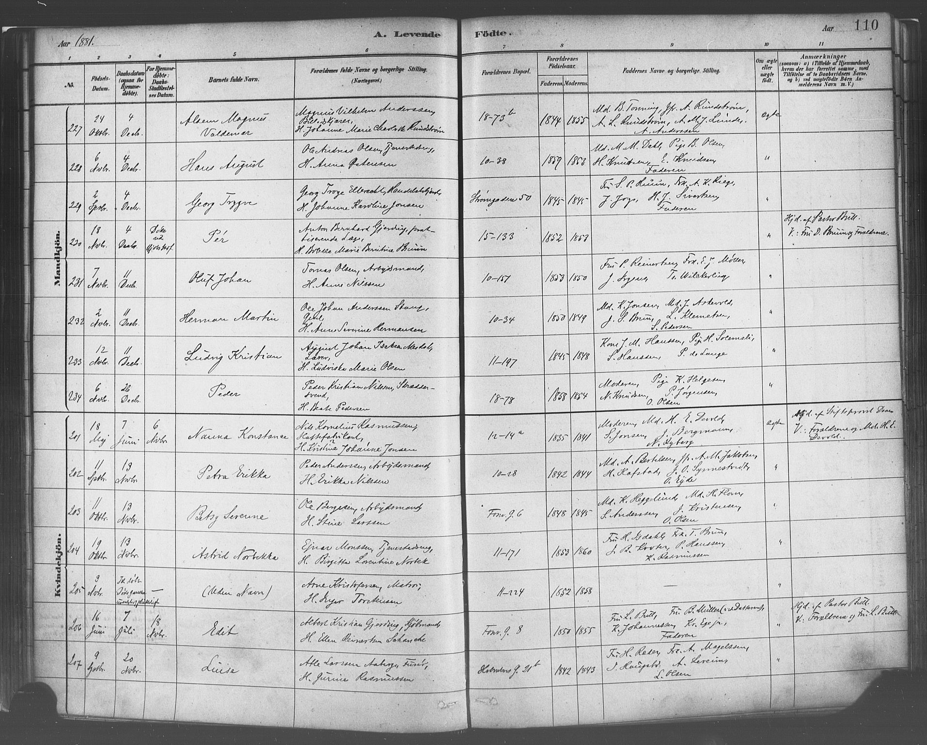 Domkirken sokneprestembete, AV/SAB-A-74801/H/Haa/L0023: Ministerialbok nr. B 6, 1879-1887, s. 110