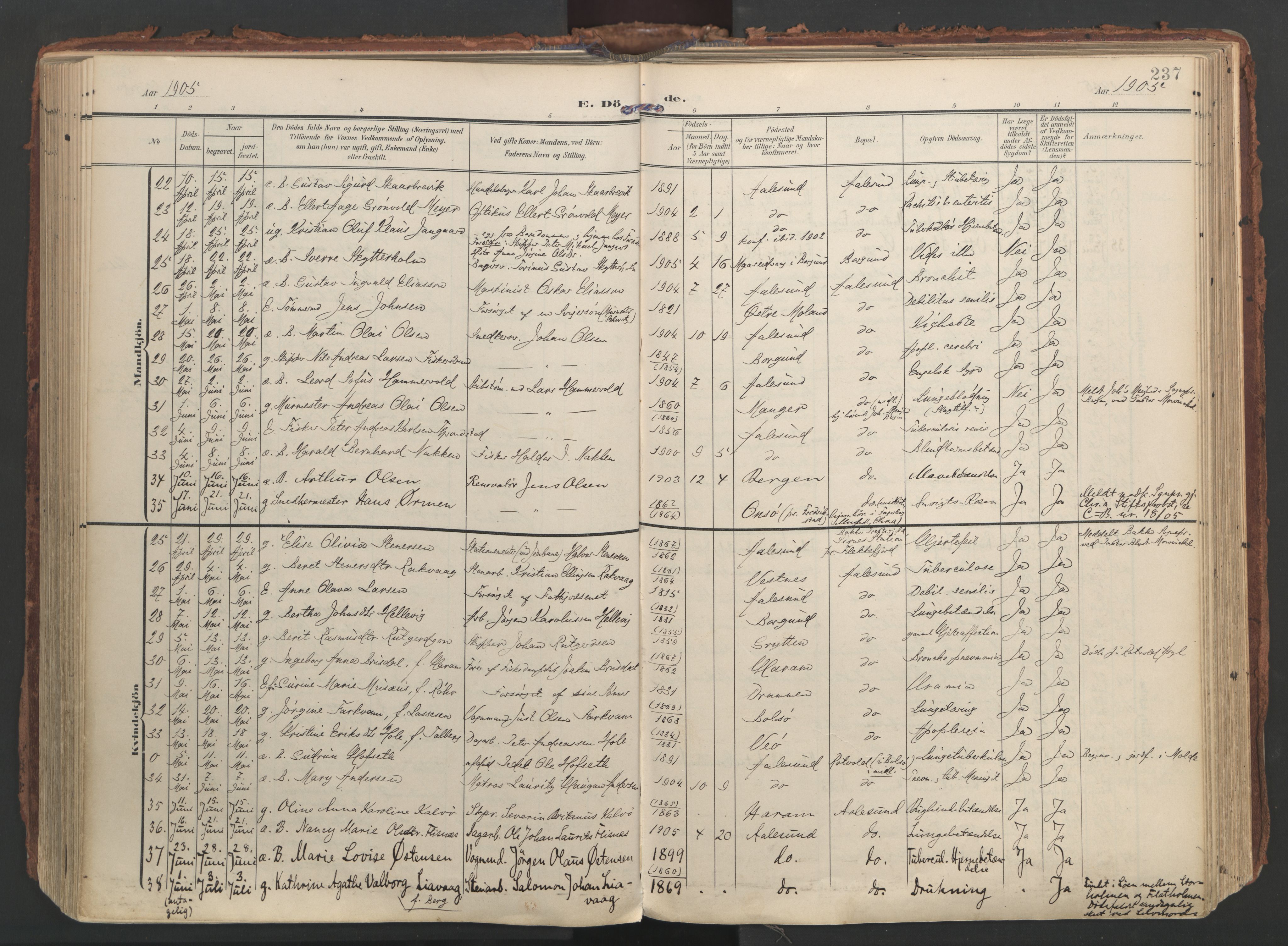 Ministerialprotokoller, klokkerbøker og fødselsregistre - Møre og Romsdal, AV/SAT-A-1454/529/L0459: Ministerialbok nr. 529A09, 1904-1917, s. 237