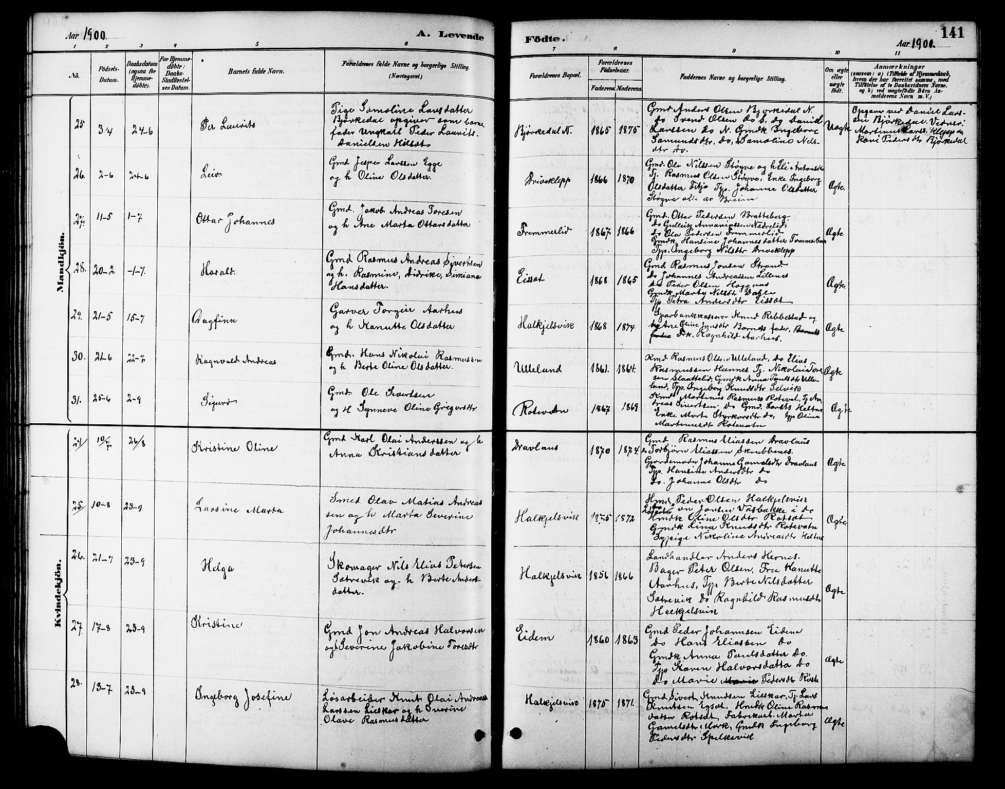 Ministerialprotokoller, klokkerbøker og fødselsregistre - Møre og Romsdal, AV/SAT-A-1454/511/L0158: Klokkerbok nr. 511C04, 1884-1903, s. 141