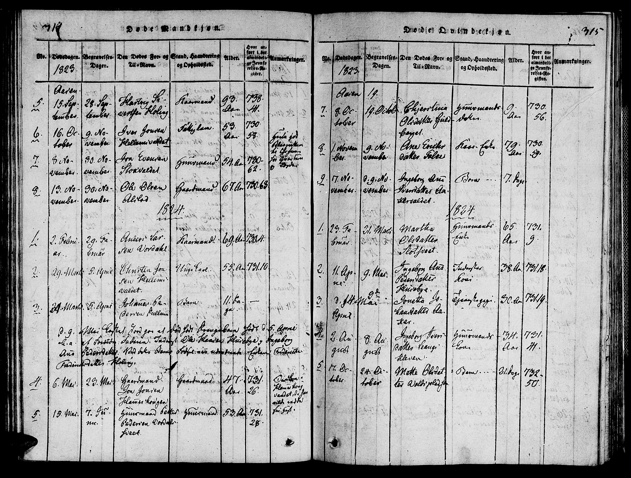 Ministerialprotokoller, klokkerbøker og fødselsregistre - Nord-Trøndelag, SAT/A-1458/713/L0112: Ministerialbok nr. 713A04 /2, 1817-1827, s. 314-315