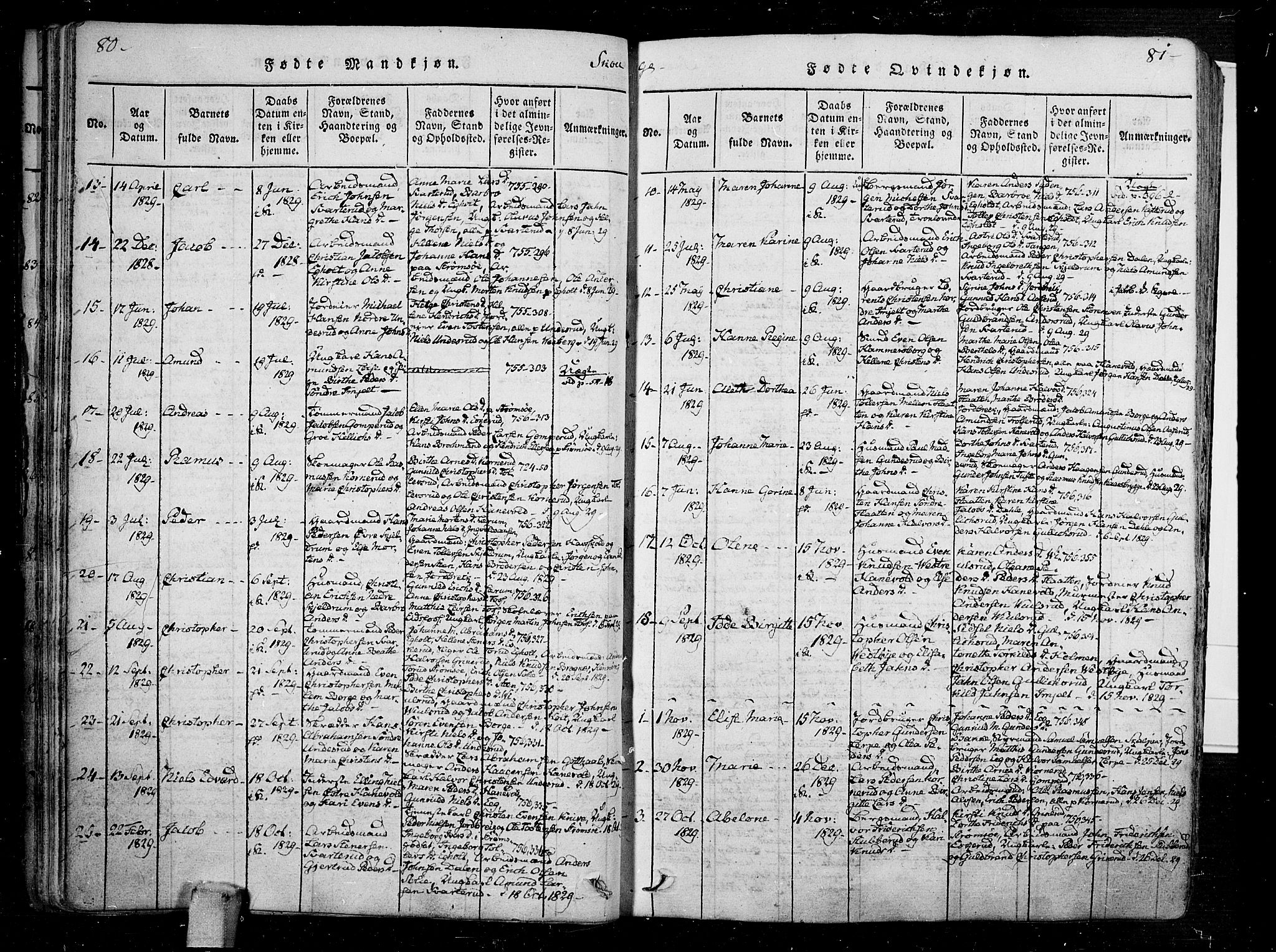 Skoger kirkebøker, SAKO/A-59/F/Fa/L0002: Ministerialbok nr. I 2 /1, 1814-1842, s. 80-81