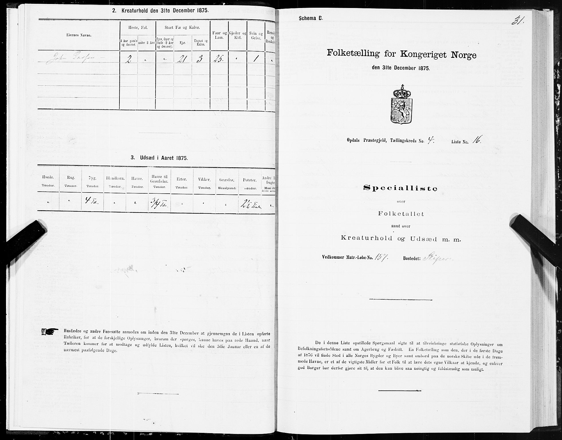 SAT, Folketelling 1875 for 1634P Oppdal prestegjeld, 1875, s. 3031