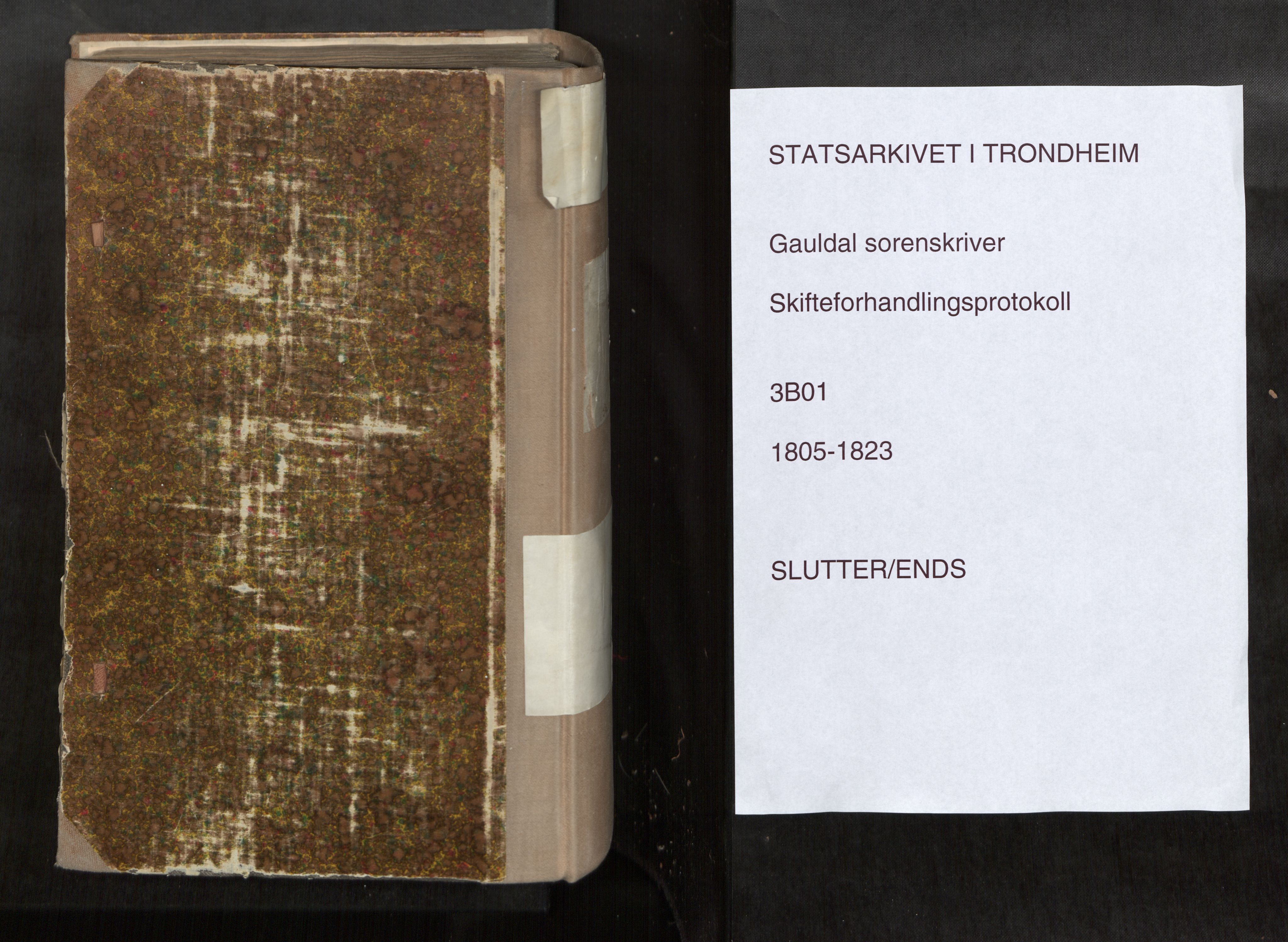 Gauldal sorenskriveri, AV/SAT-A-0014/1/3/3B/L0001: Skiftebehandlingsprotokoll, 1805-1823