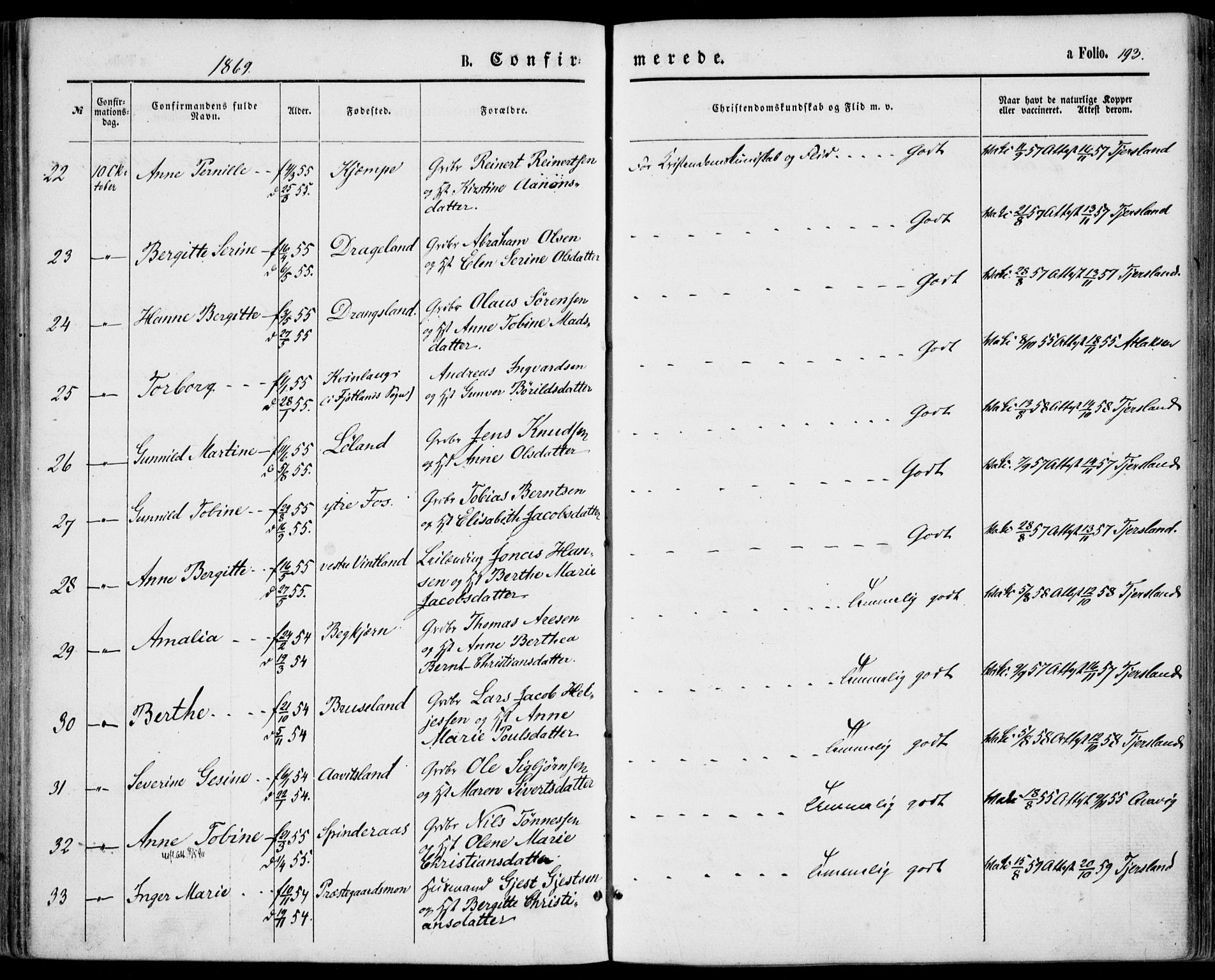 Lyngdal sokneprestkontor, SAK/1111-0029/F/Fa/Fac/L0010: Ministerialbok nr. A 10, 1865-1878, s. 193