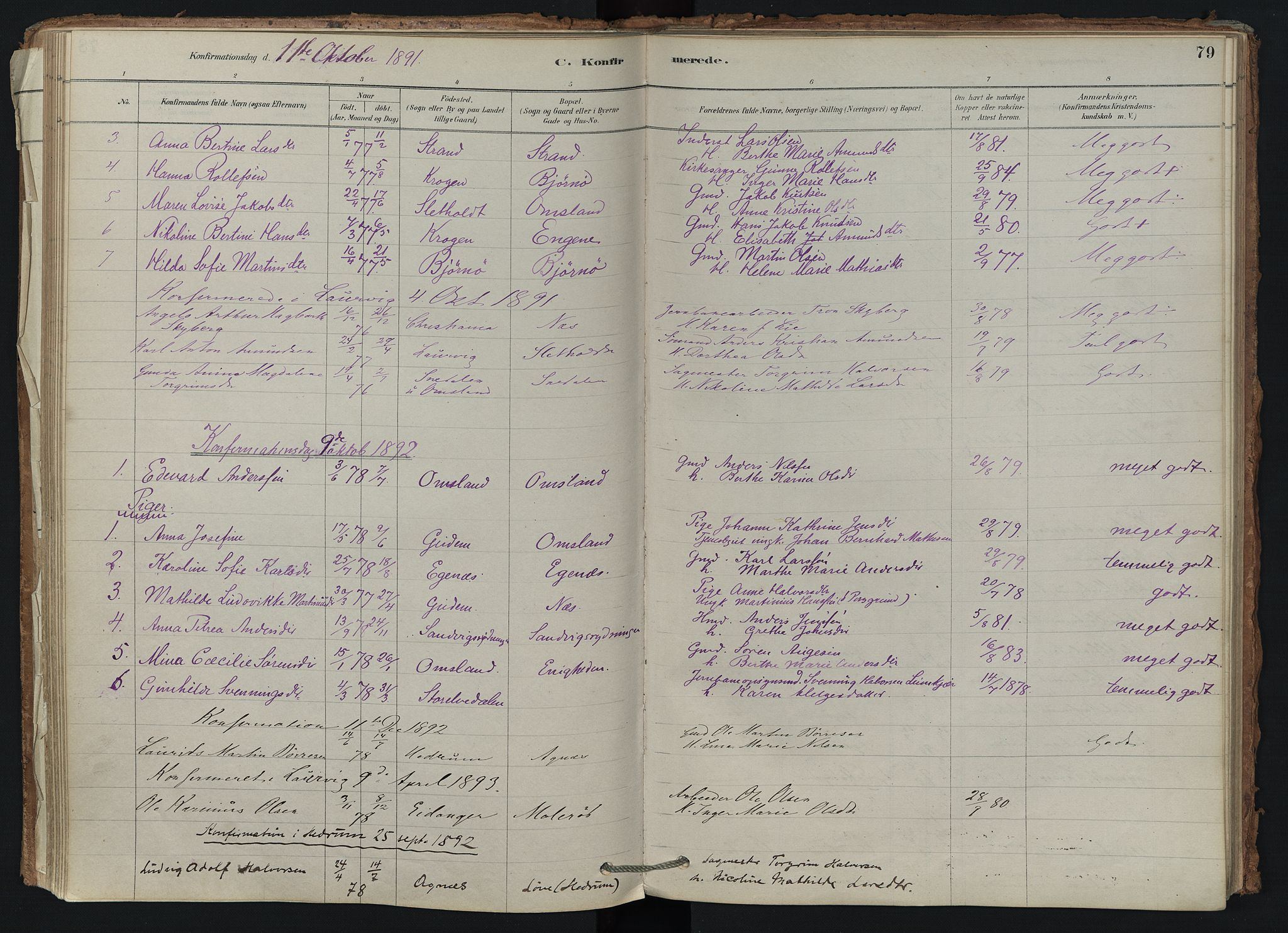 Brunlanes kirkebøker, SAKO/A-342/F/Fd/L0001: Ministerialbok nr. IV 1, 1878-1917, s. 79