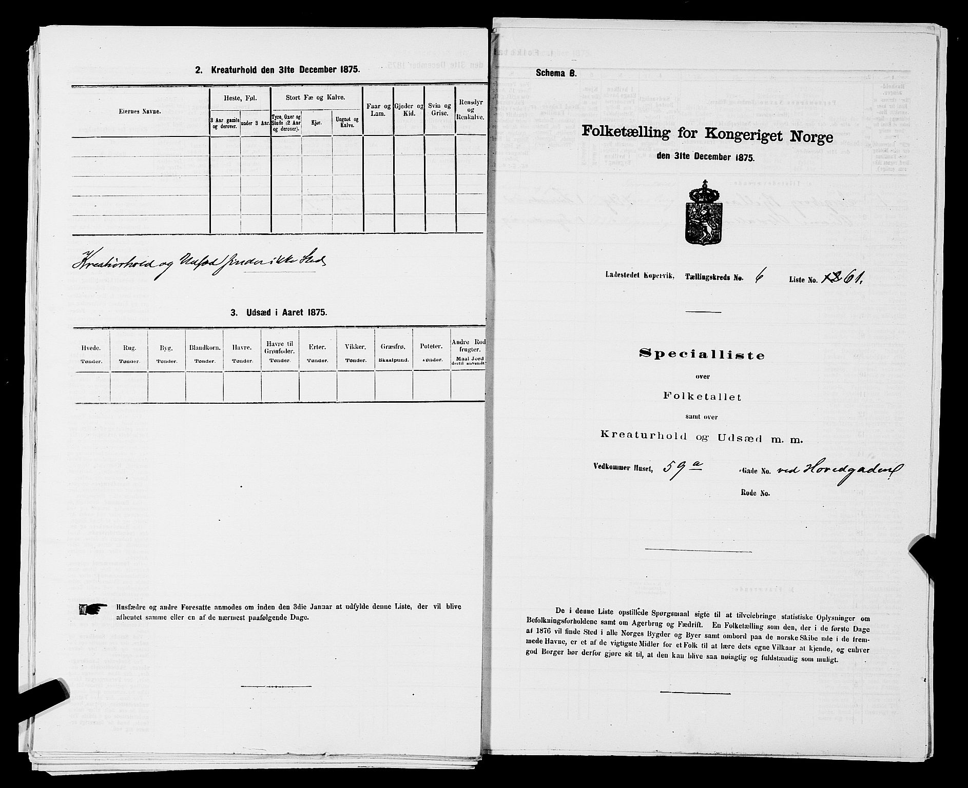 SAST, Folketelling 1875 for 1105B Avaldsnes prestegjeld, Kopervik ladested, 1875, s. 120