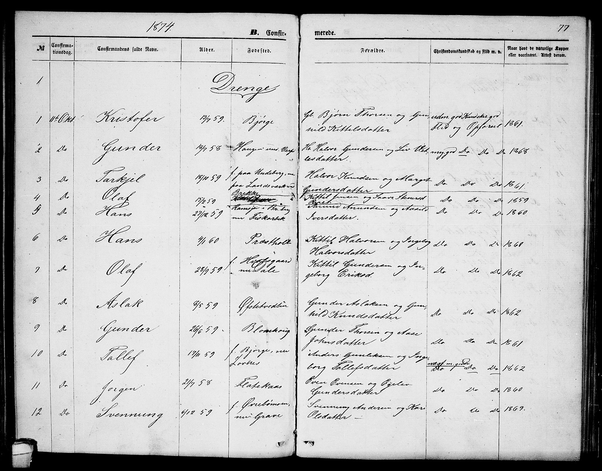 Seljord kirkebøker, AV/SAKO-A-20/G/Ga/L0004: Klokkerbok nr. I 4, 1873-1886, s. 77