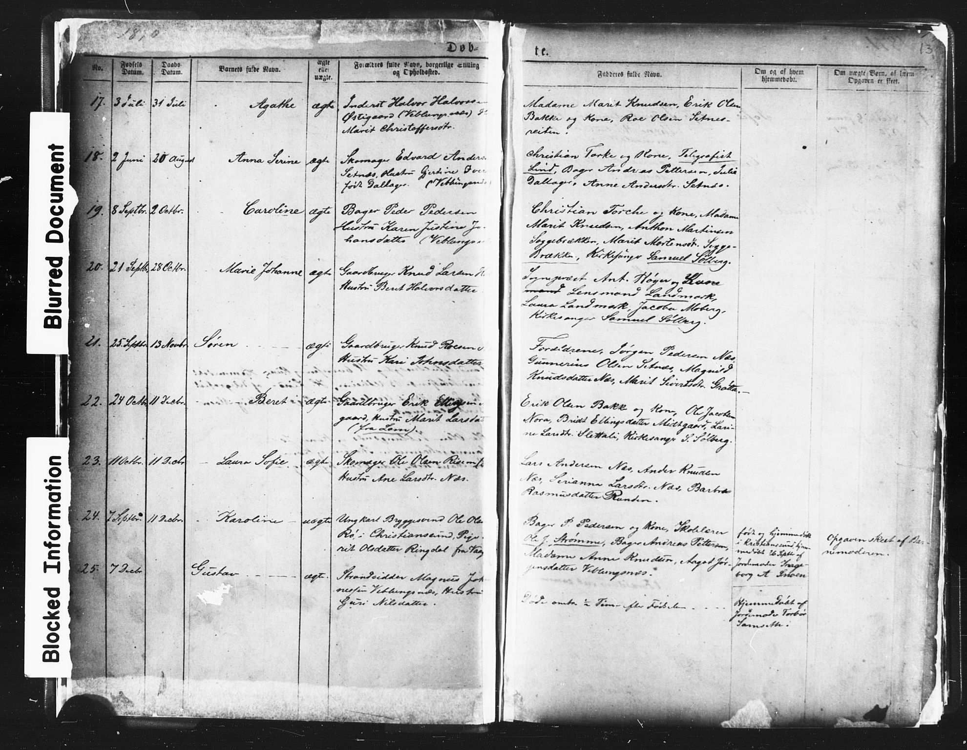 Ministerialprotokoller, klokkerbøker og fødselsregistre - Møre og Romsdal, AV/SAT-A-1454/544/L0580: Klokkerbok nr. 544C02, 1867-1909, s. 13