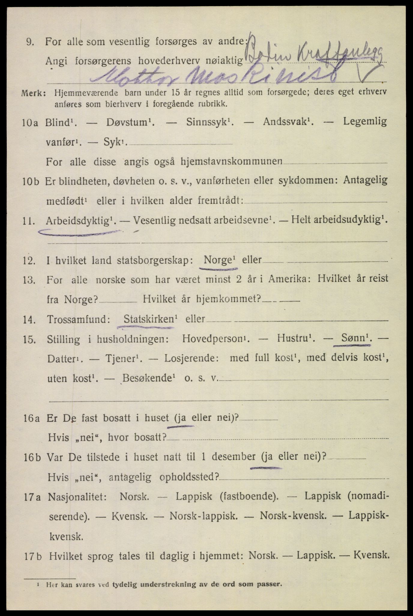 SAT, Folketelling 1920 for 1843 Bodin herred, 1920, s. 9529