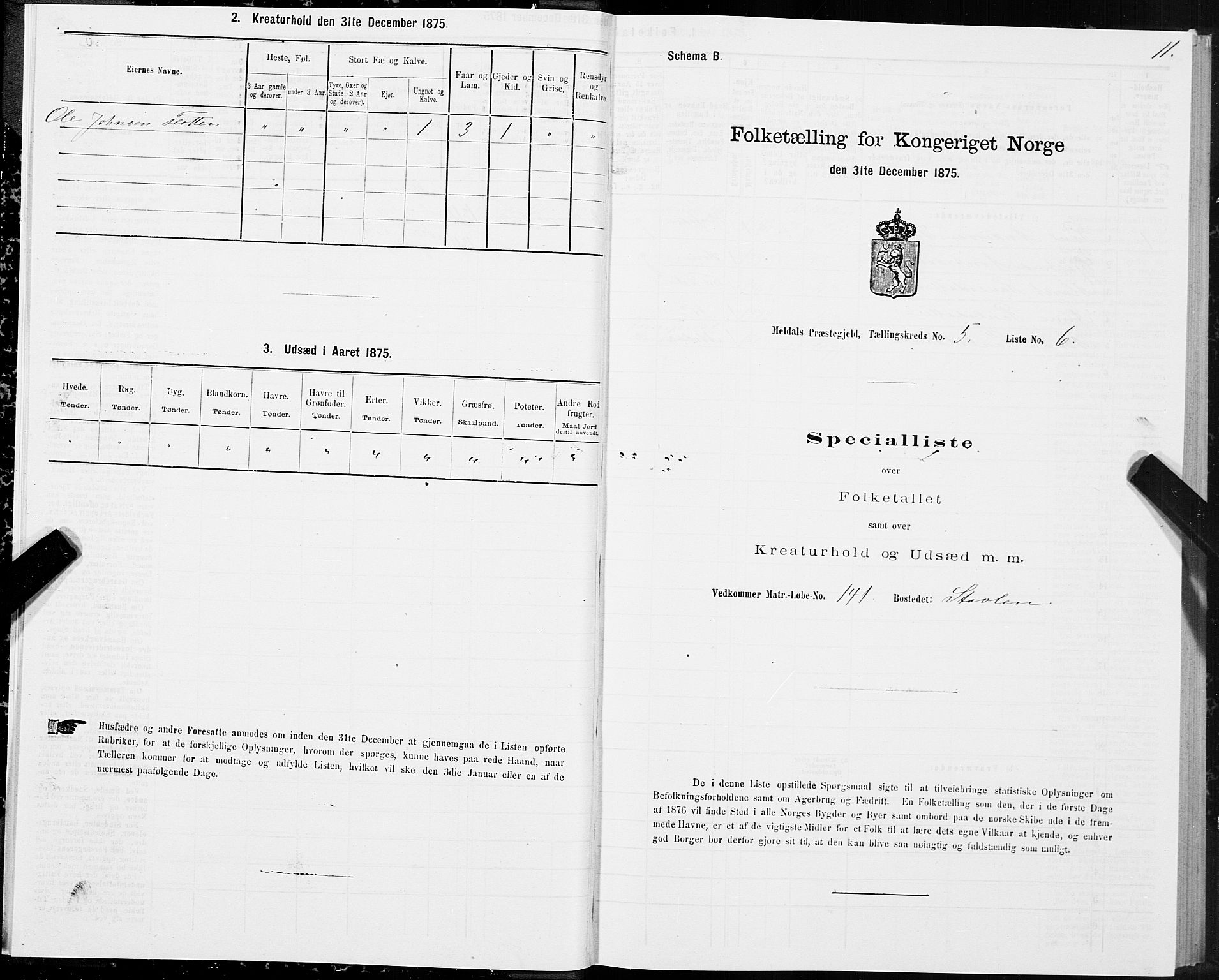SAT, Folketelling 1875 for 1636P Meldal prestegjeld, 1875, s. 3011