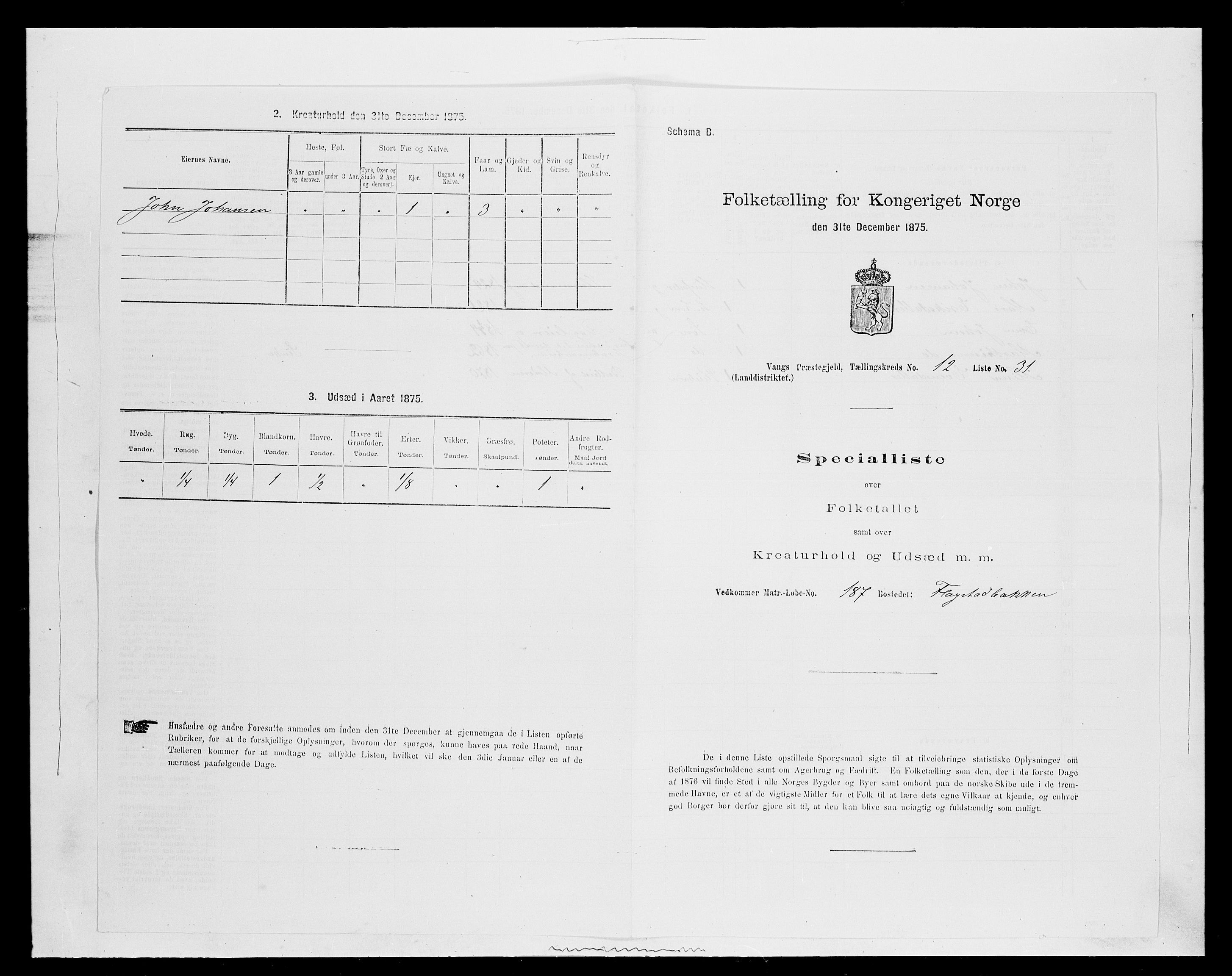 SAH, Folketelling 1875 for 0414L Vang prestegjeld, Vang sokn og Furnes sokn, 1875, s. 2684