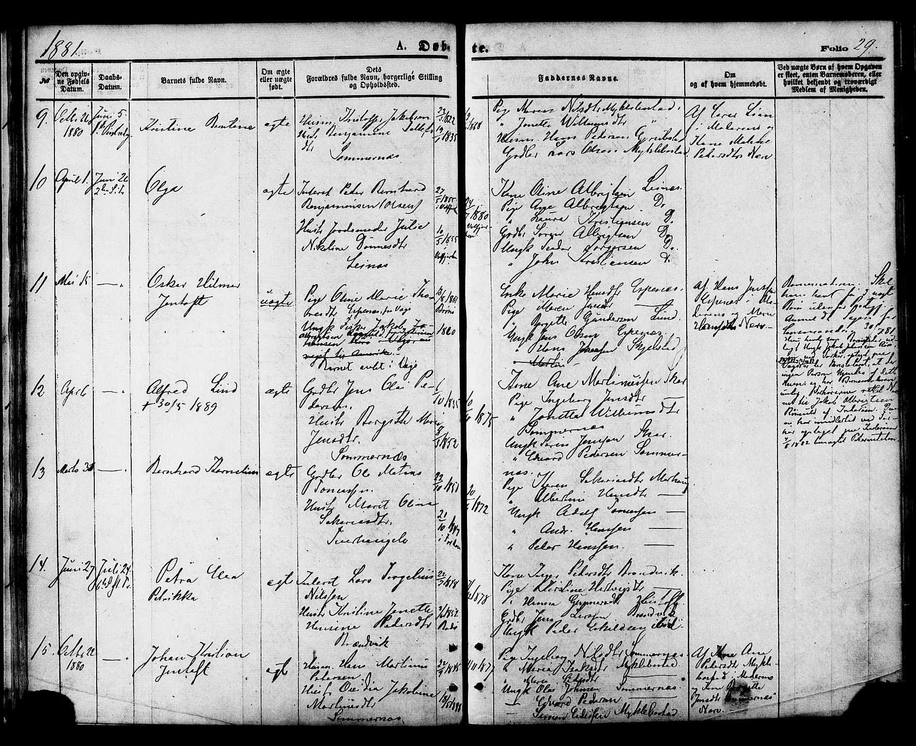 Ministerialprotokoller, klokkerbøker og fødselsregistre - Nordland, AV/SAT-A-1459/857/L0821: Ministerialbok nr. 857A01, 1875-1889, s. 29