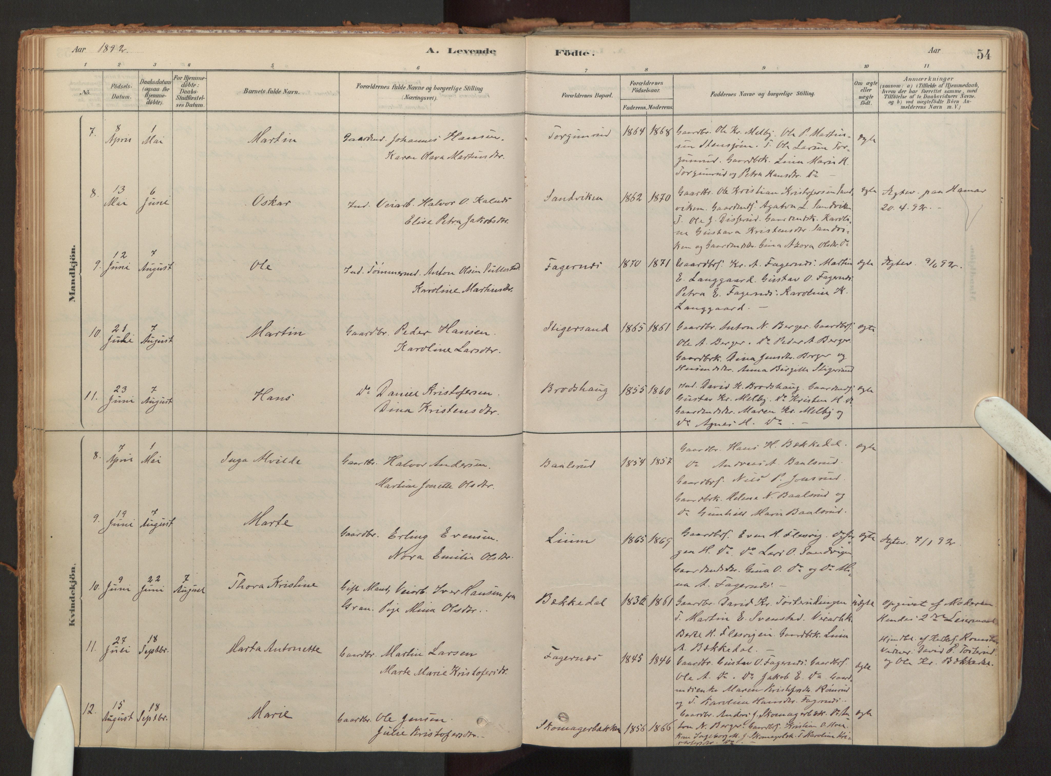 Hurdal prestekontor Kirkebøker, AV/SAO-A-10889/F/Fb/L0003: Ministerialbok nr. II 3, 1878-1920, s. 54