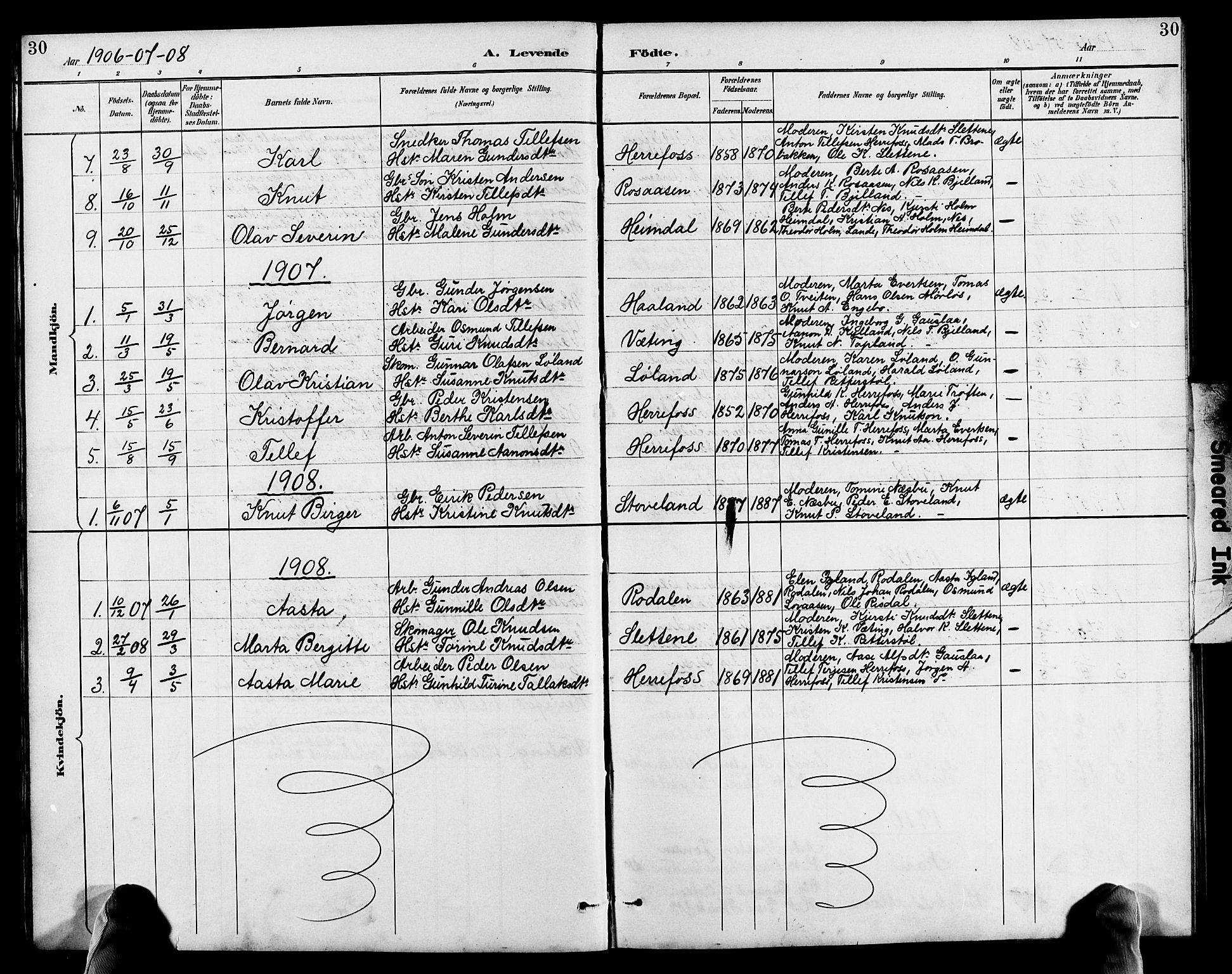 Herefoss sokneprestkontor, AV/SAK-1111-0019/F/Fb/Fba/L0003: Klokkerbok nr. B 3, 1887-1925, s. 30