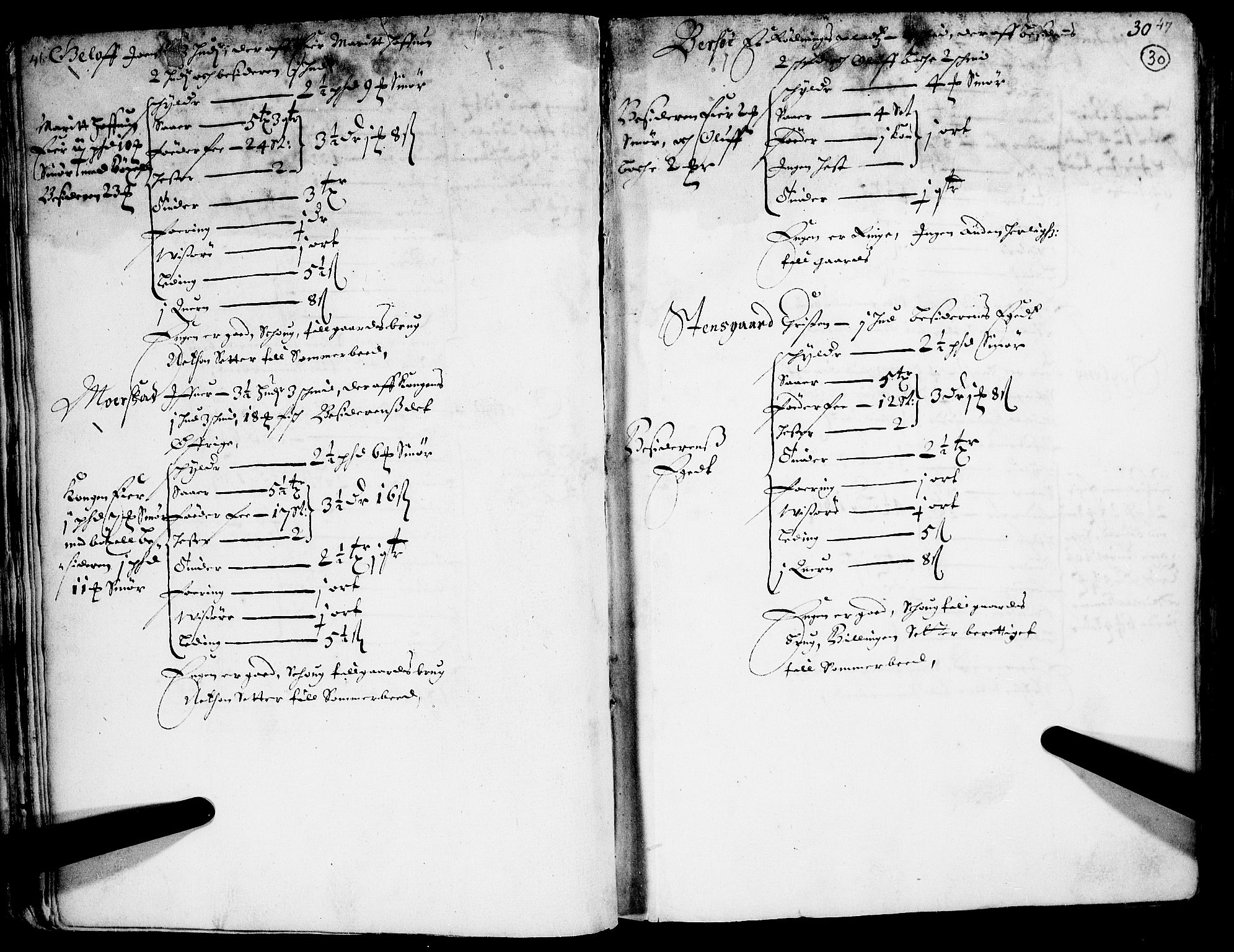 Rentekammeret inntil 1814, Realistisk ordnet avdeling, RA/EA-4070/N/Nb/Nba/L0014: Gudbrandsdalen fogderi, 1. del, 1668, s. 29b-30a