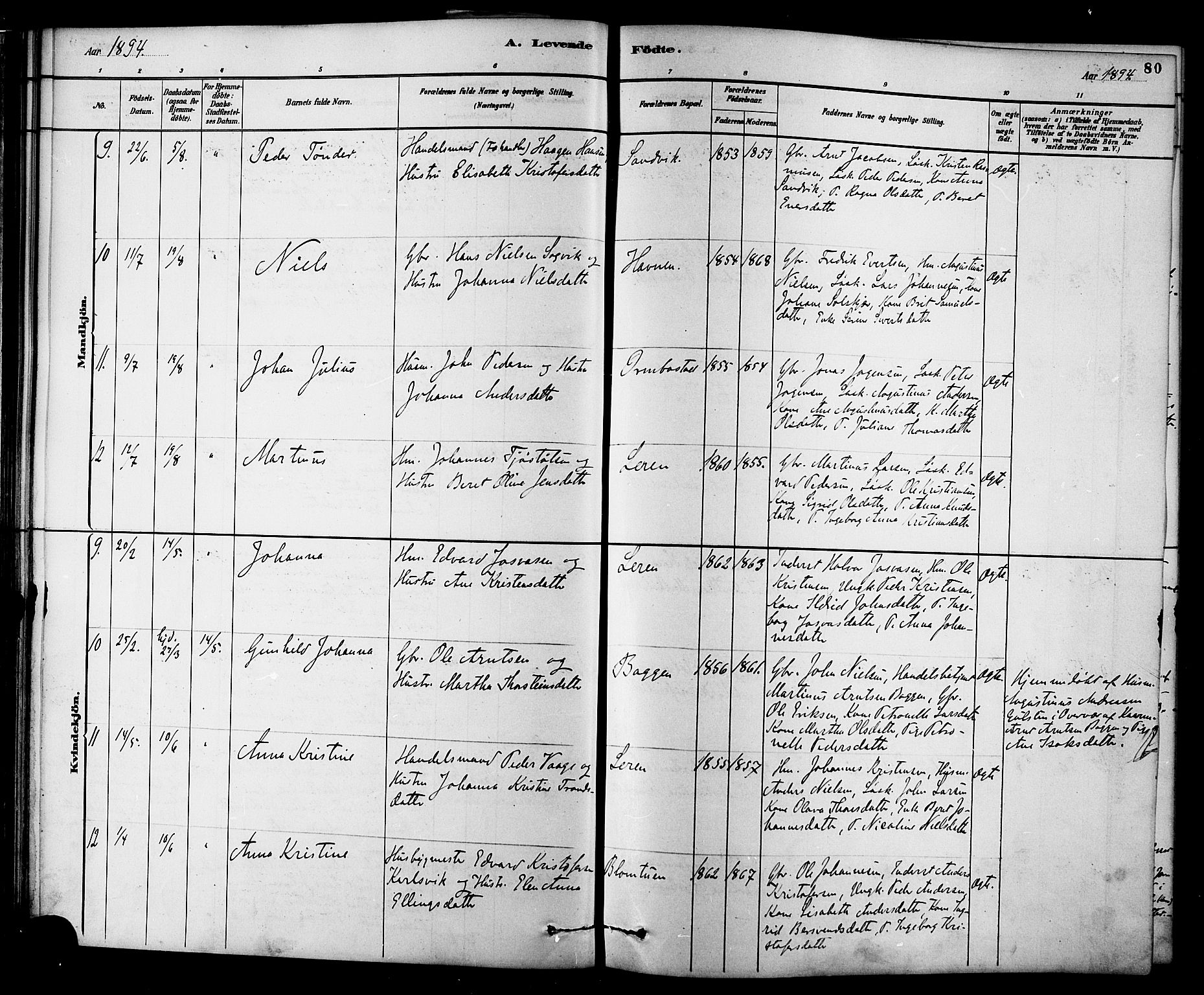 Ministerialprotokoller, klokkerbøker og fødselsregistre - Møre og Romsdal, AV/SAT-A-1454/577/L0896: Ministerialbok nr. 577A03, 1880-1898, s. 80