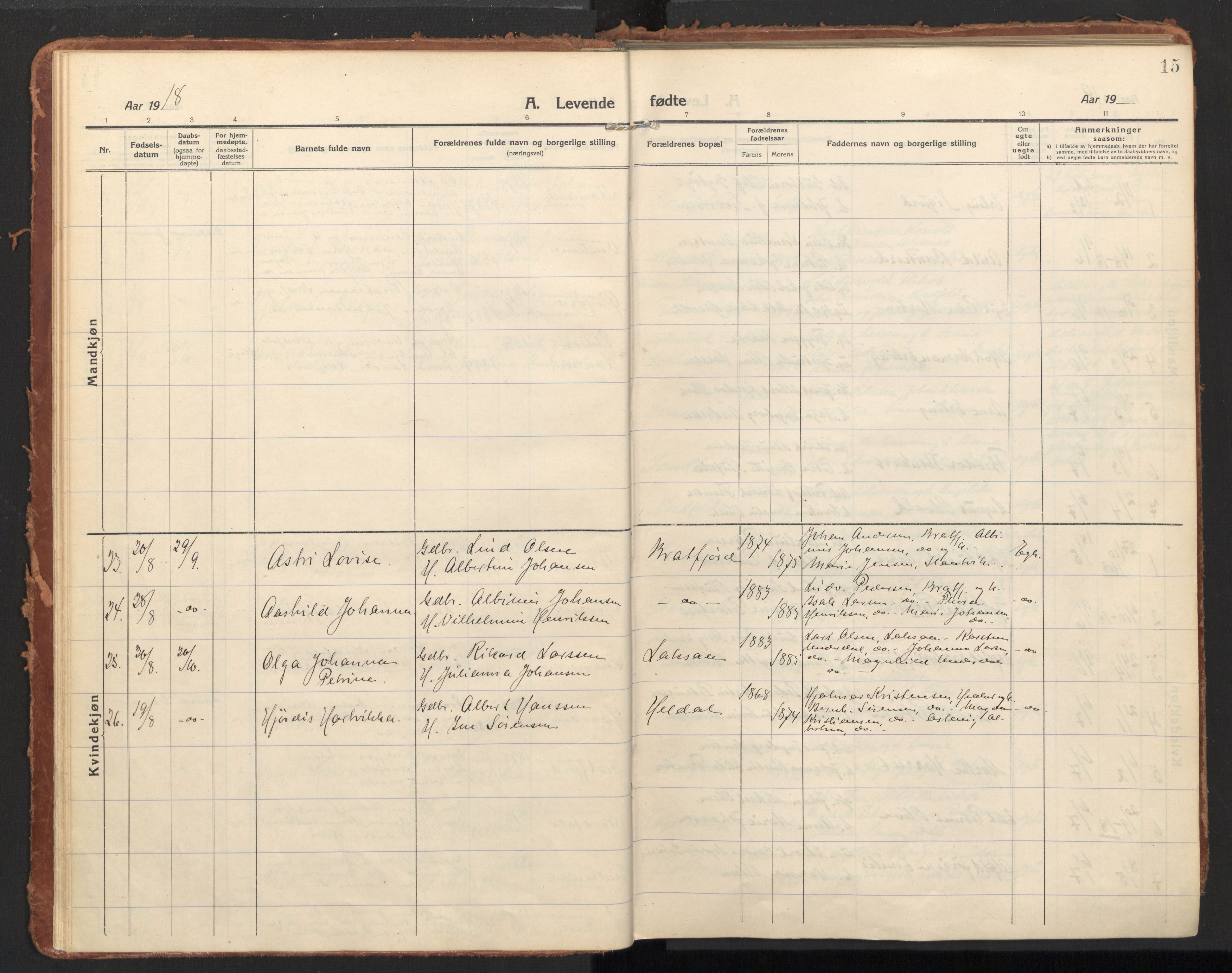 Ministerialprotokoller, klokkerbøker og fødselsregistre - Nordland, SAT/A-1459/858/L0833: Ministerialbok nr. 858A03, 1916-1934, s. 15