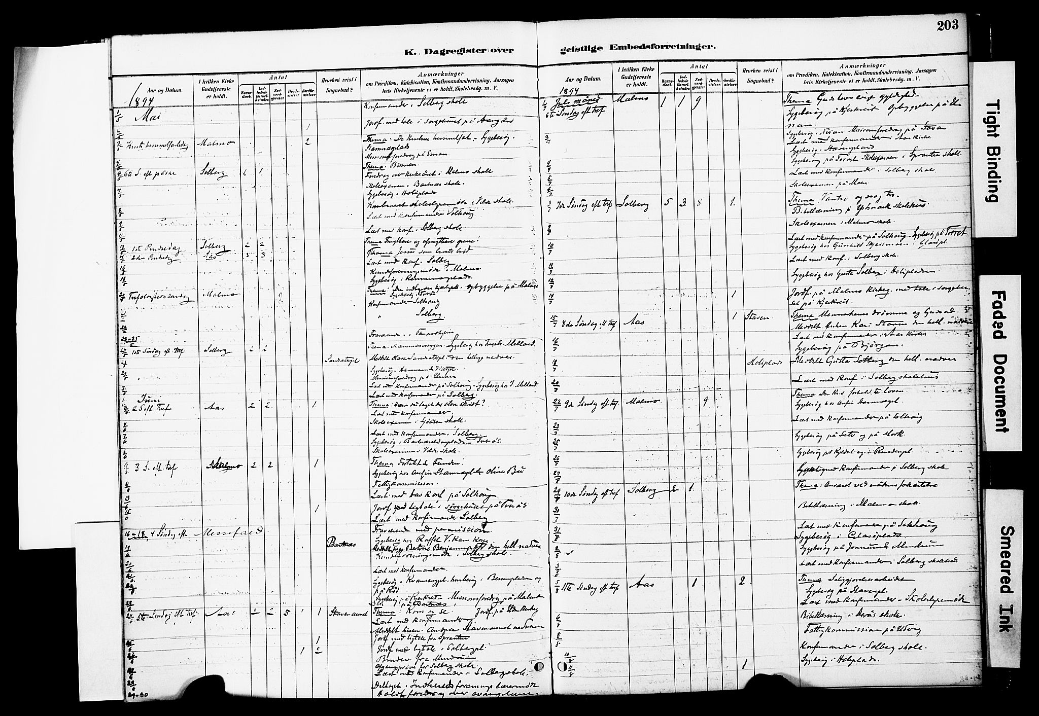 Ministerialprotokoller, klokkerbøker og fødselsregistre - Nord-Trøndelag, AV/SAT-A-1458/741/L0396: Ministerialbok nr. 741A10, 1889-1901, s. 203