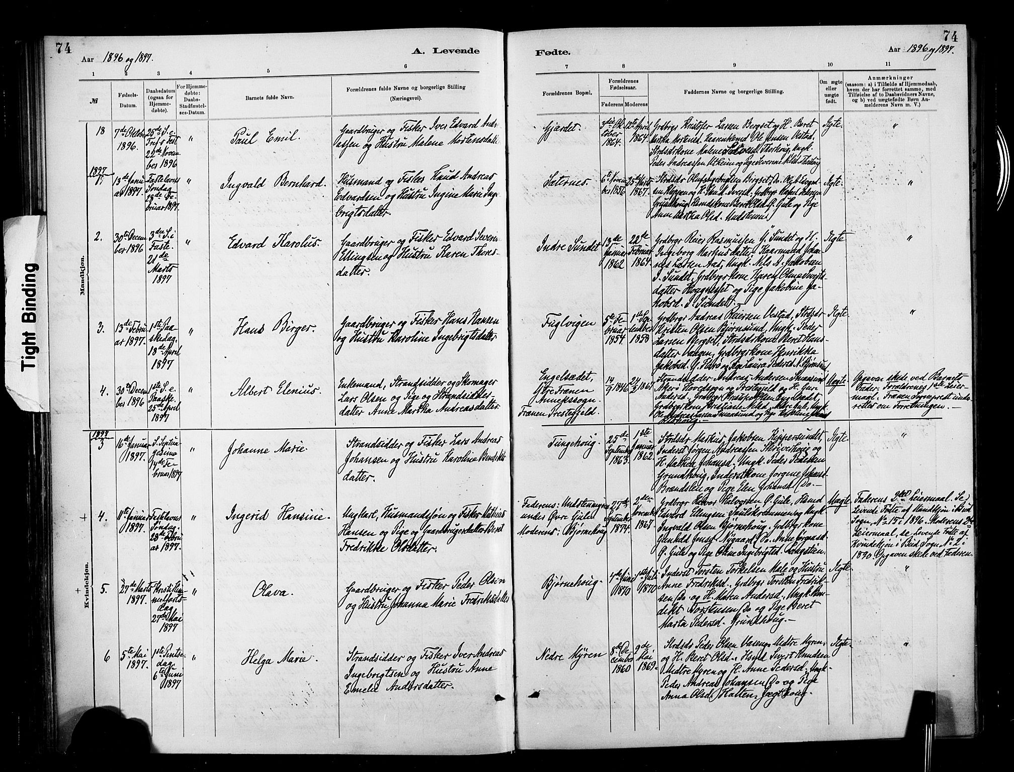 Ministerialprotokoller, klokkerbøker og fødselsregistre - Møre og Romsdal, AV/SAT-A-1454/566/L0769: Ministerialbok nr. 566A08, 1881-1903, s. 74