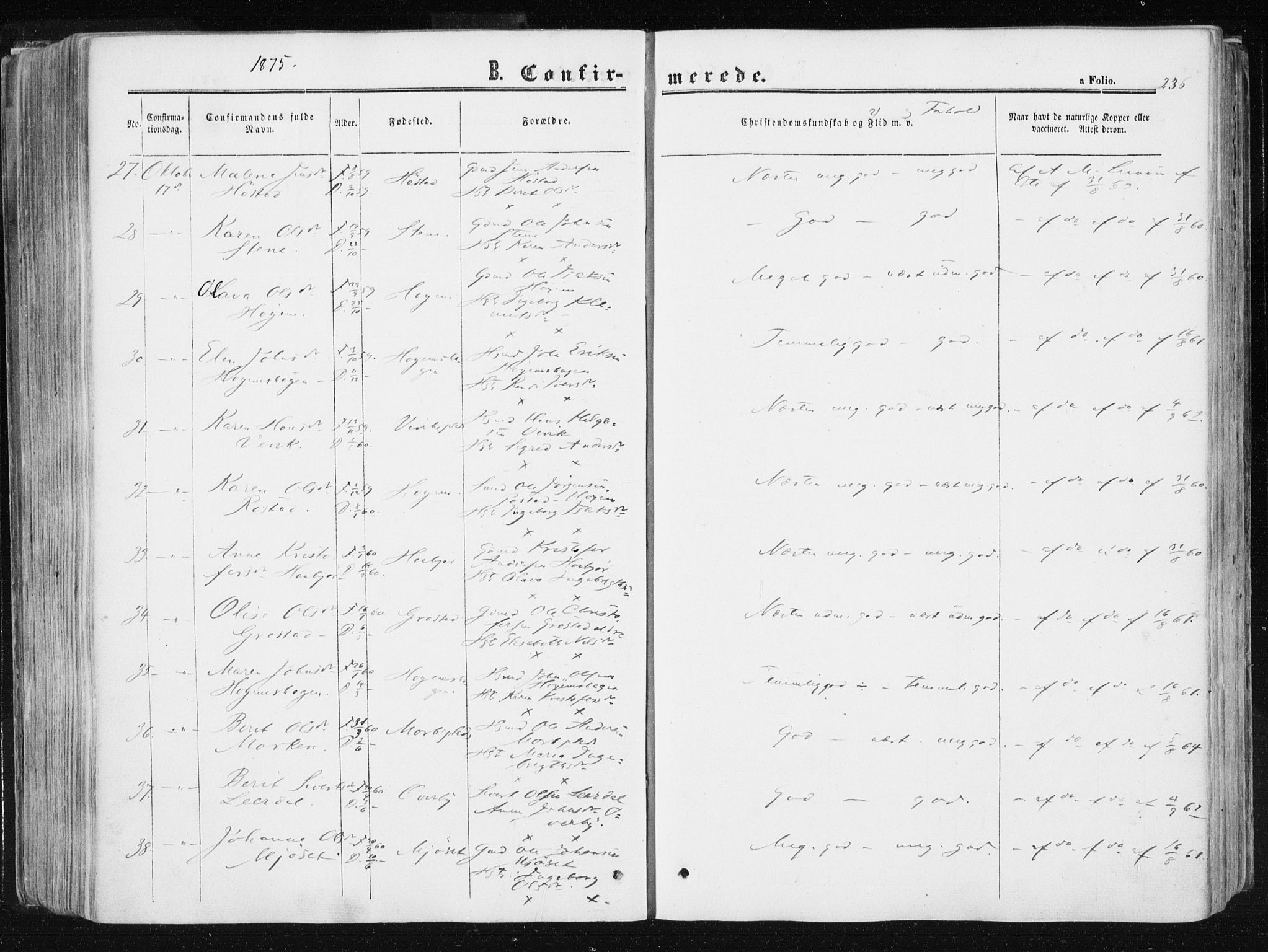 Ministerialprotokoller, klokkerbøker og fødselsregistre - Sør-Trøndelag, SAT/A-1456/612/L0377: Ministerialbok nr. 612A09, 1859-1877, s. 236