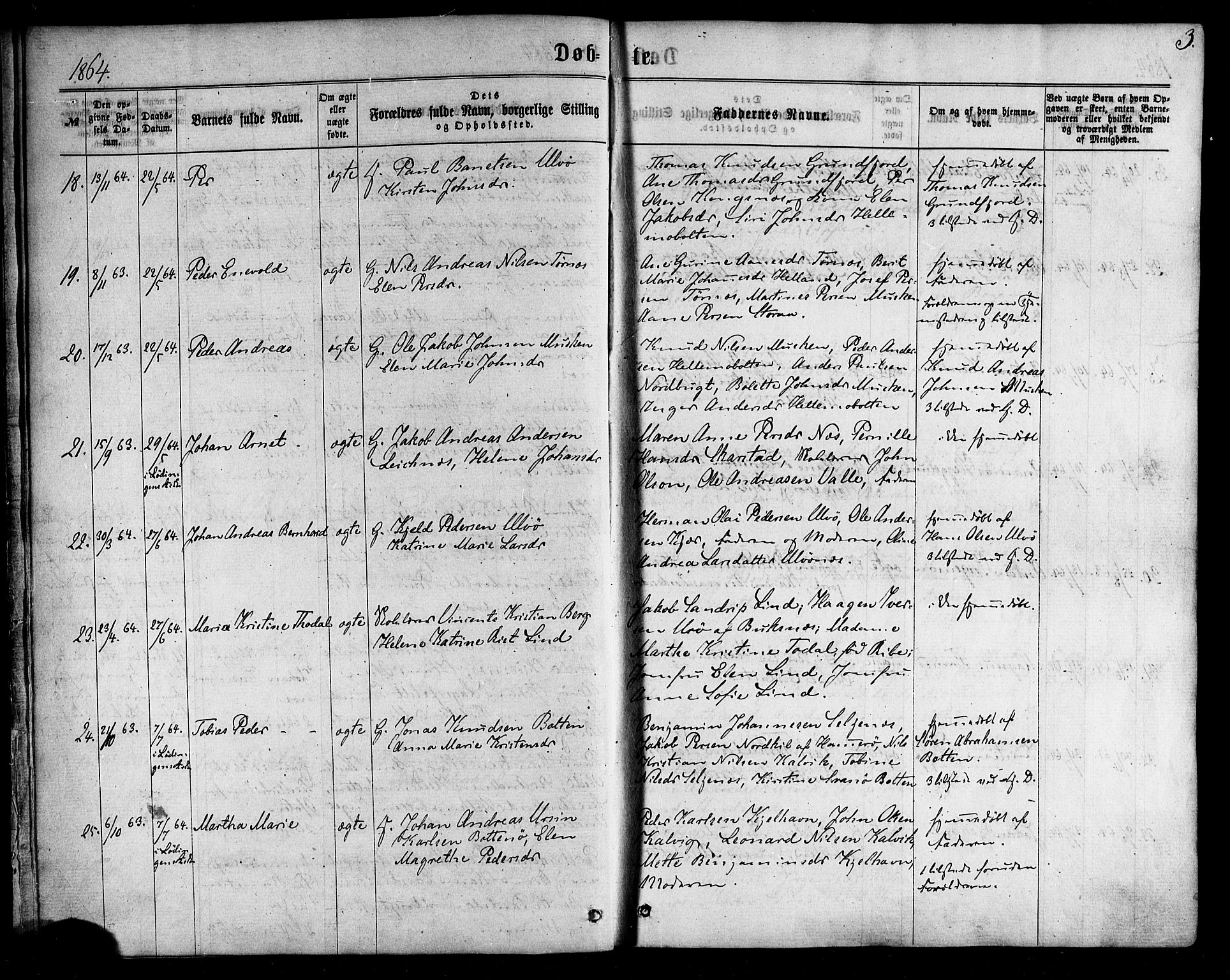 Ministerialprotokoller, klokkerbøker og fødselsregistre - Nordland, AV/SAT-A-1459/861/L0867: Ministerialbok nr. 861A02, 1864-1878, s. 3