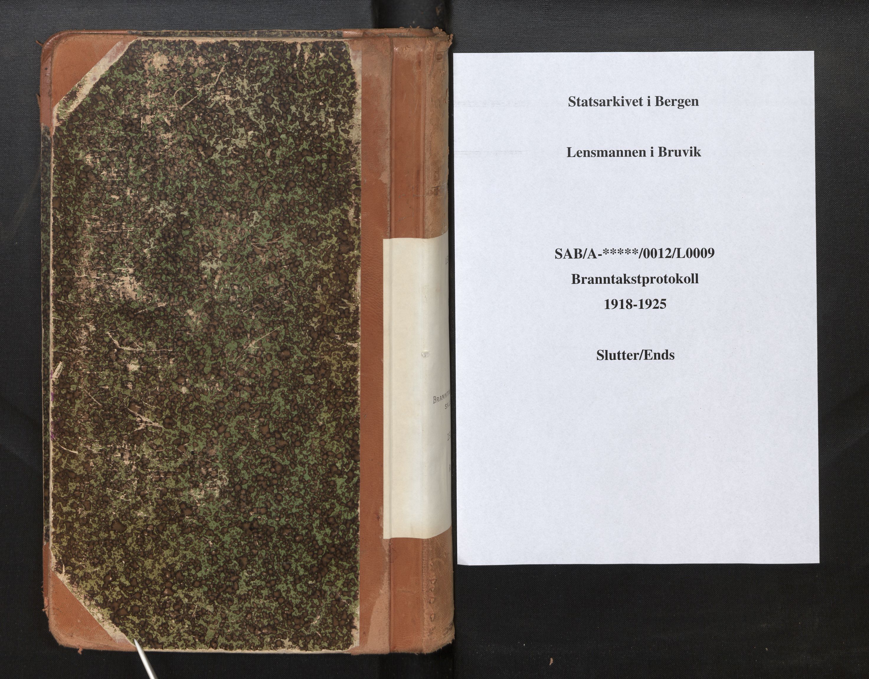 Lensmannen i Bruvik, SAB/A-31301/0012/L0009: Branntakstprotokoll, skjematakst, 1918-1925