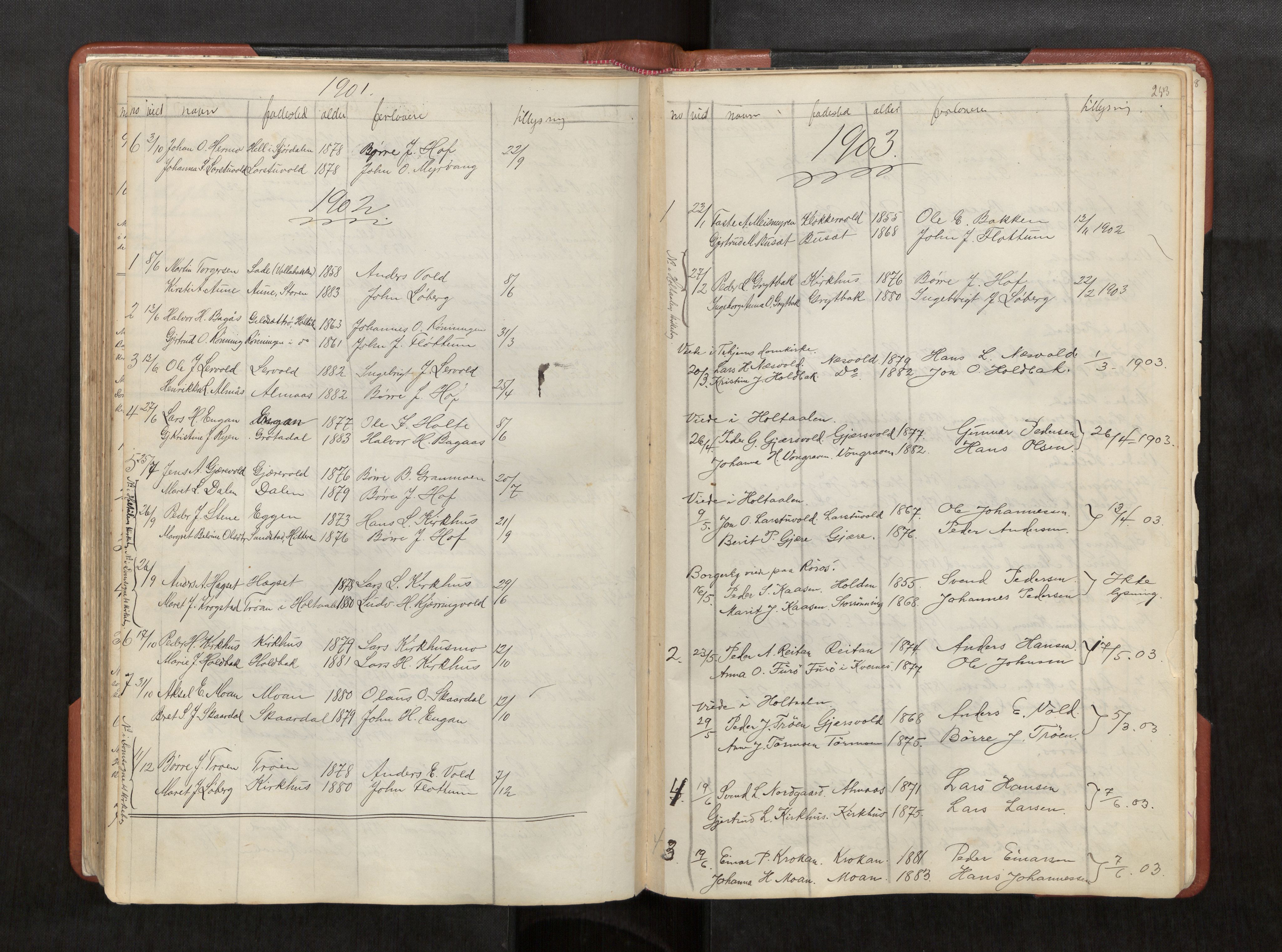 Ministerialprotokoller, klokkerbøker og fødselsregistre - Sør-Trøndelag, AV/SAT-A-1456/686/L0985: Klokkerbok nr. 686C01, 1871-1933, s. 253