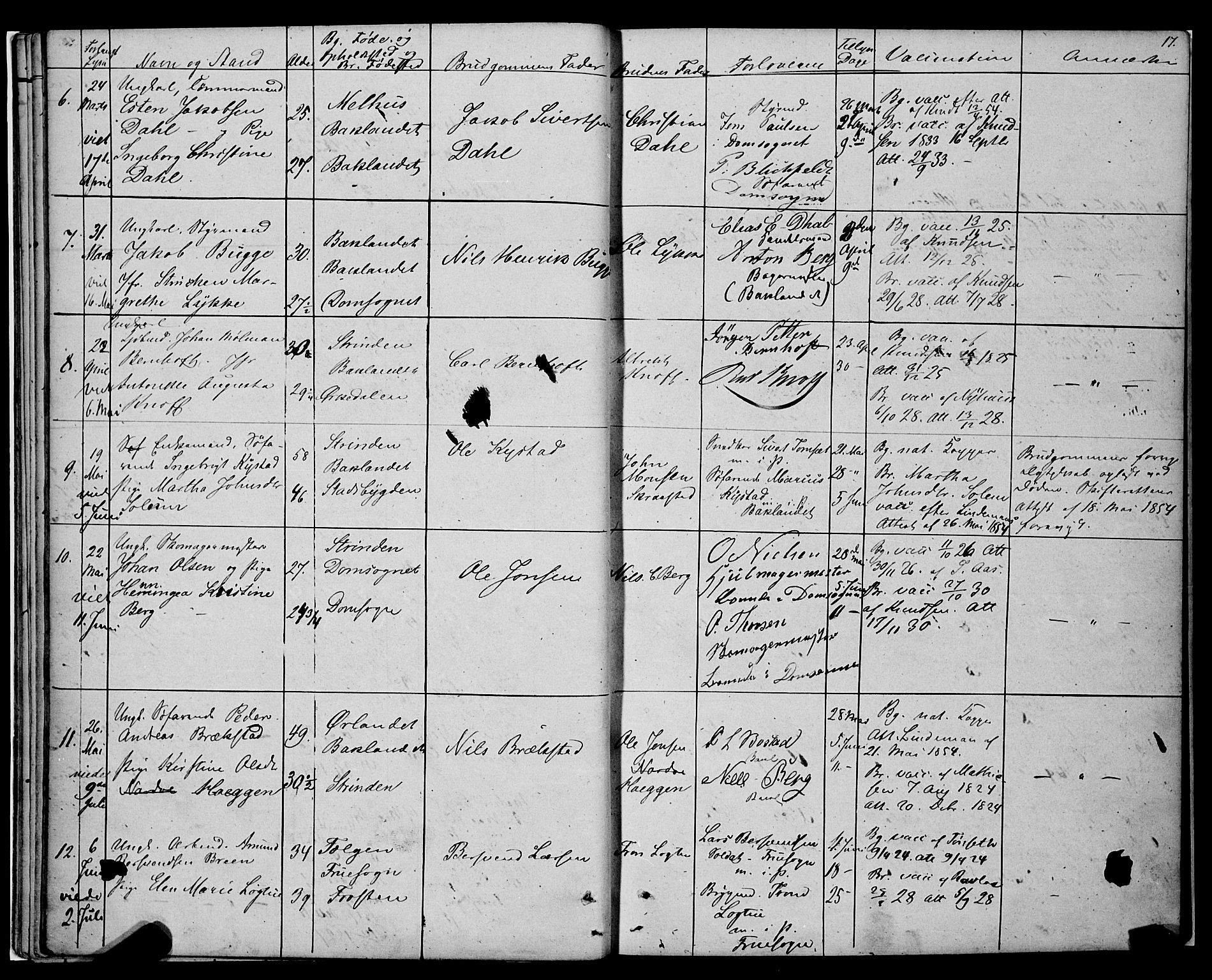Ministerialprotokoller, klokkerbøker og fødselsregistre - Sør-Trøndelag, SAT/A-1456/604/L0187: Ministerialbok nr. 604A08, 1847-1878, s. 17