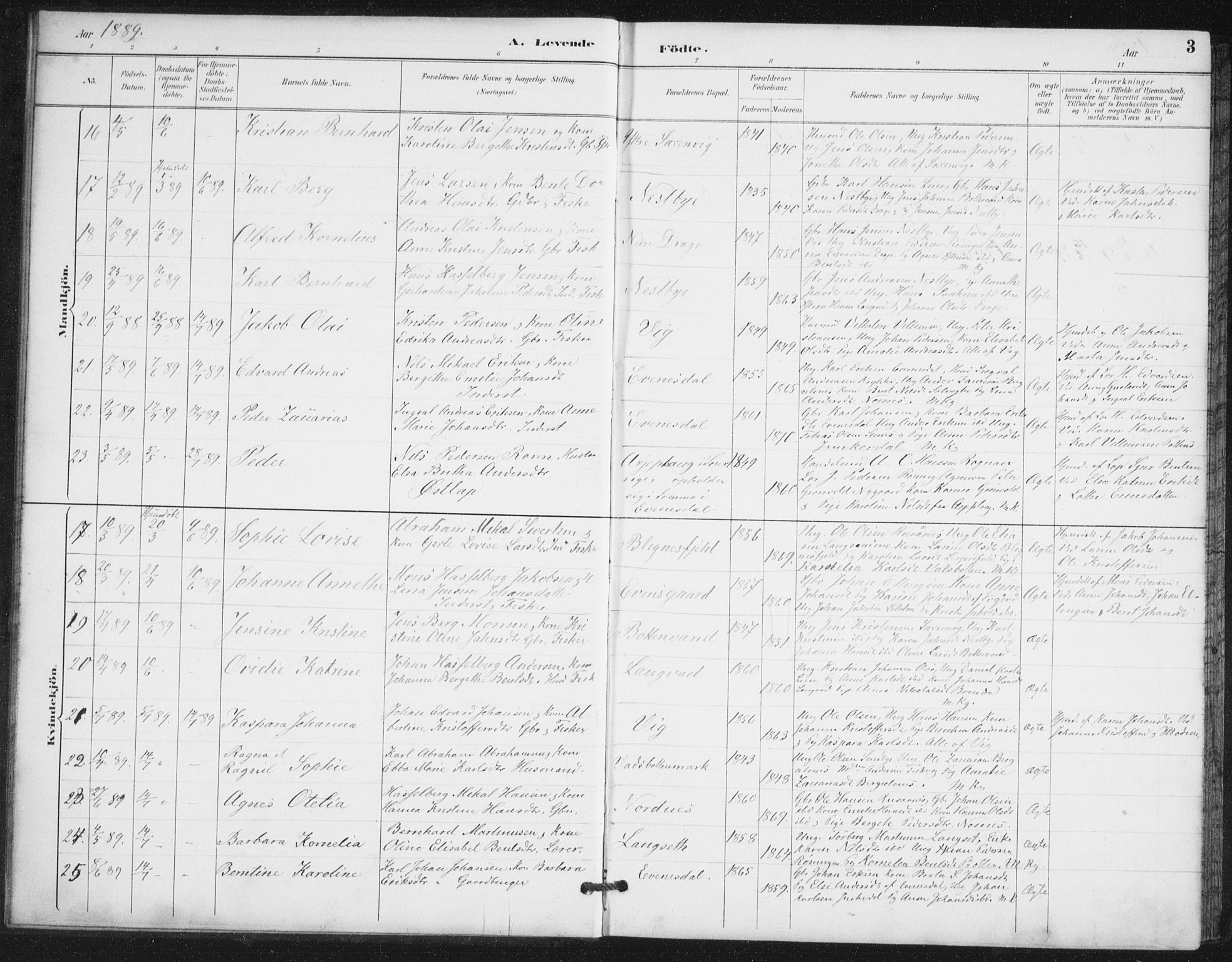 Ministerialprotokoller, klokkerbøker og fødselsregistre - Nordland, AV/SAT-A-1459/847/L0682: Klokkerbok nr. 847C10, 1889-1907, s. 3
