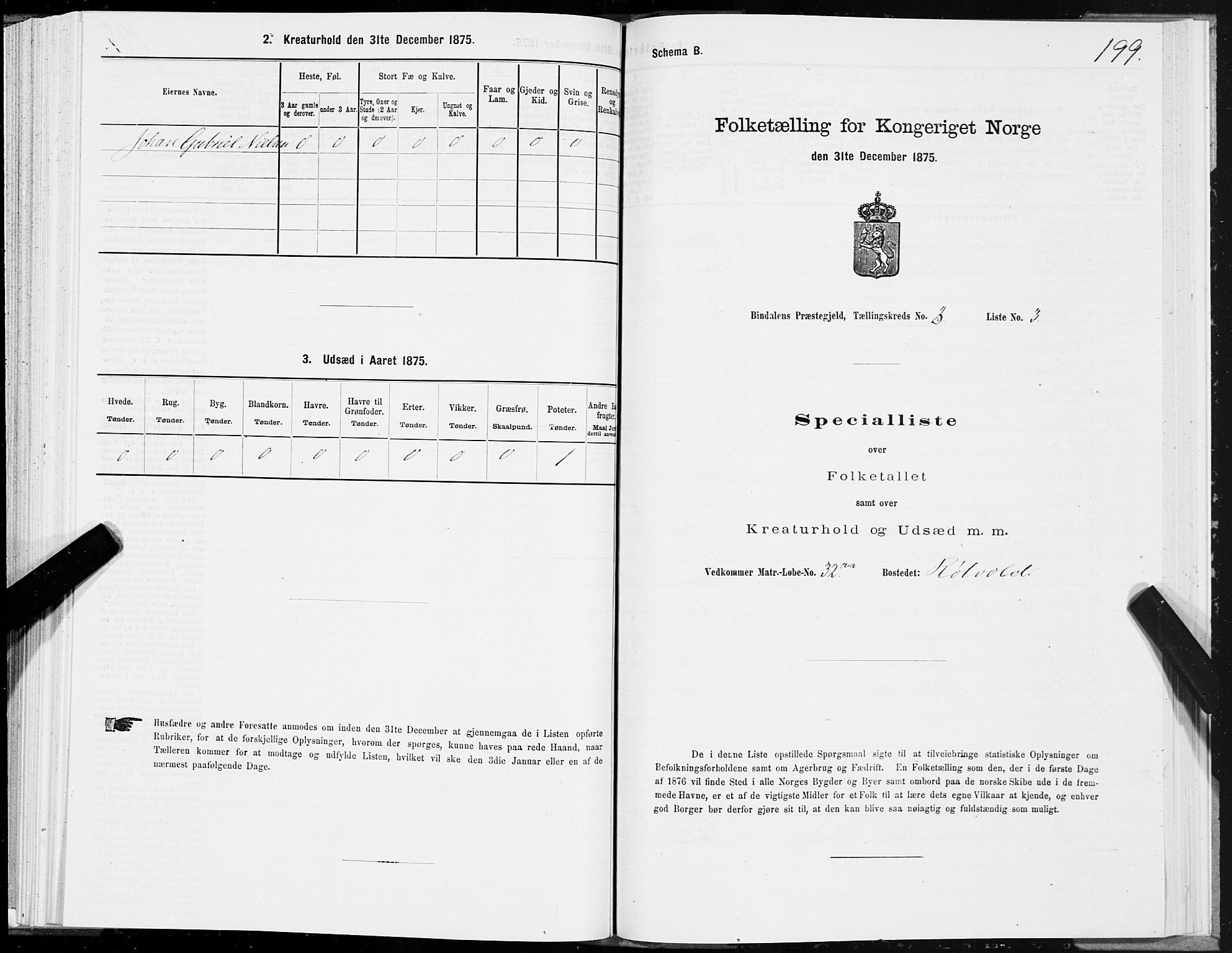 SAT, Folketelling 1875 for 1811P Bindal prestegjeld, 1875, s. 1199