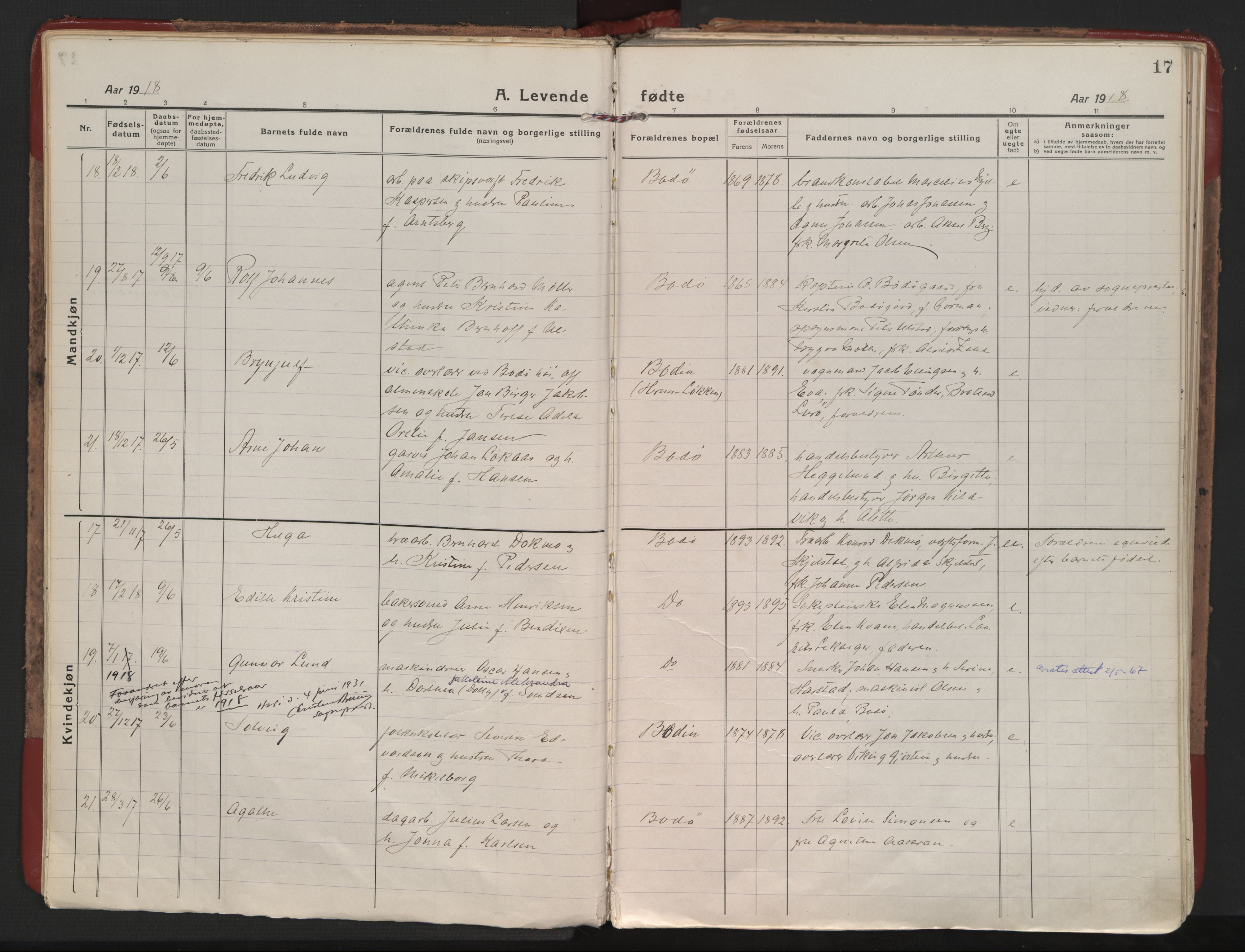 Ministerialprotokoller, klokkerbøker og fødselsregistre - Nordland, AV/SAT-A-1459/801/L0017: Ministerialbok nr. 801A17, 1917-1930, s. 17