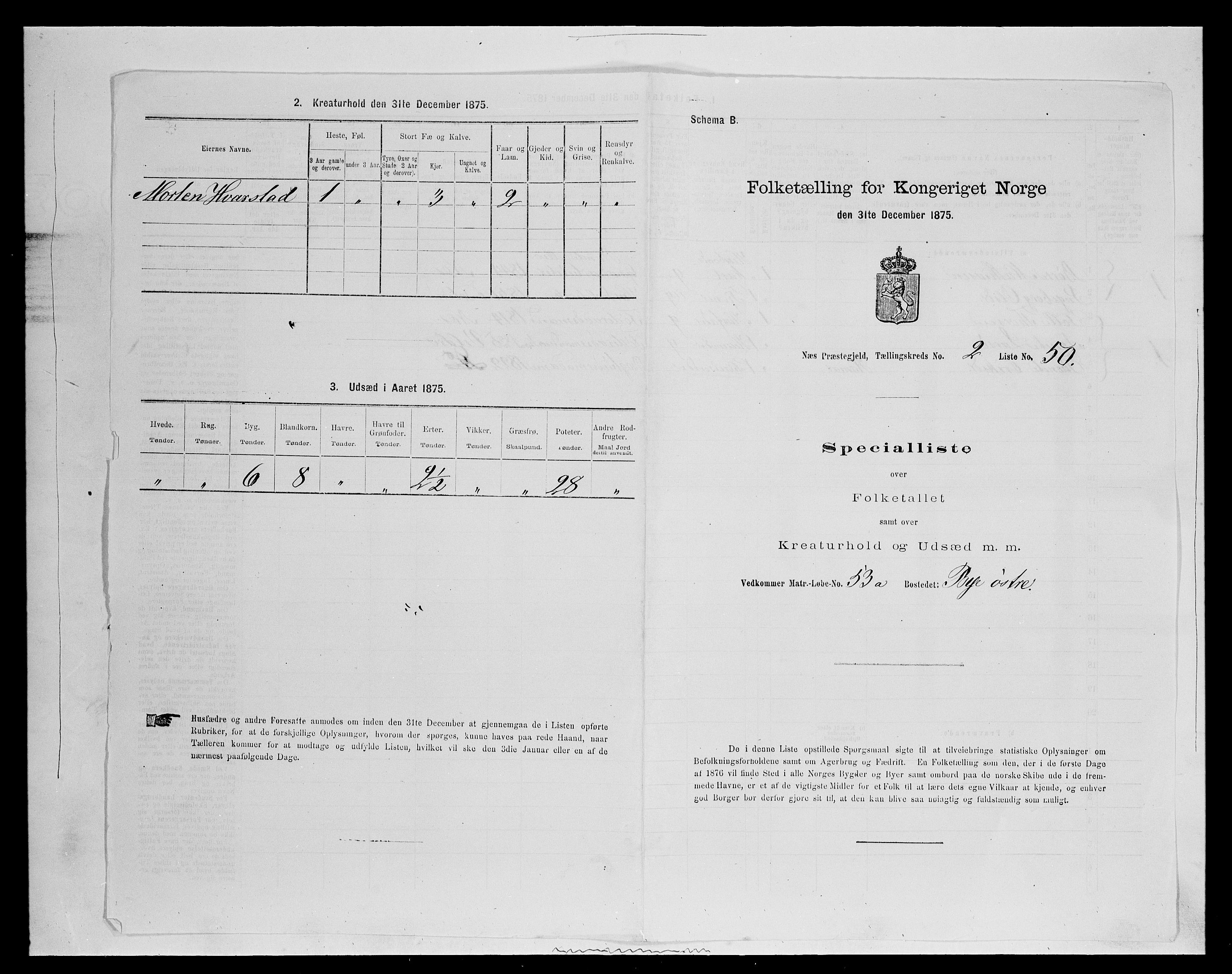 SAH, Folketelling 1875 for 0411P Nes prestegjeld, 1875, s. 430