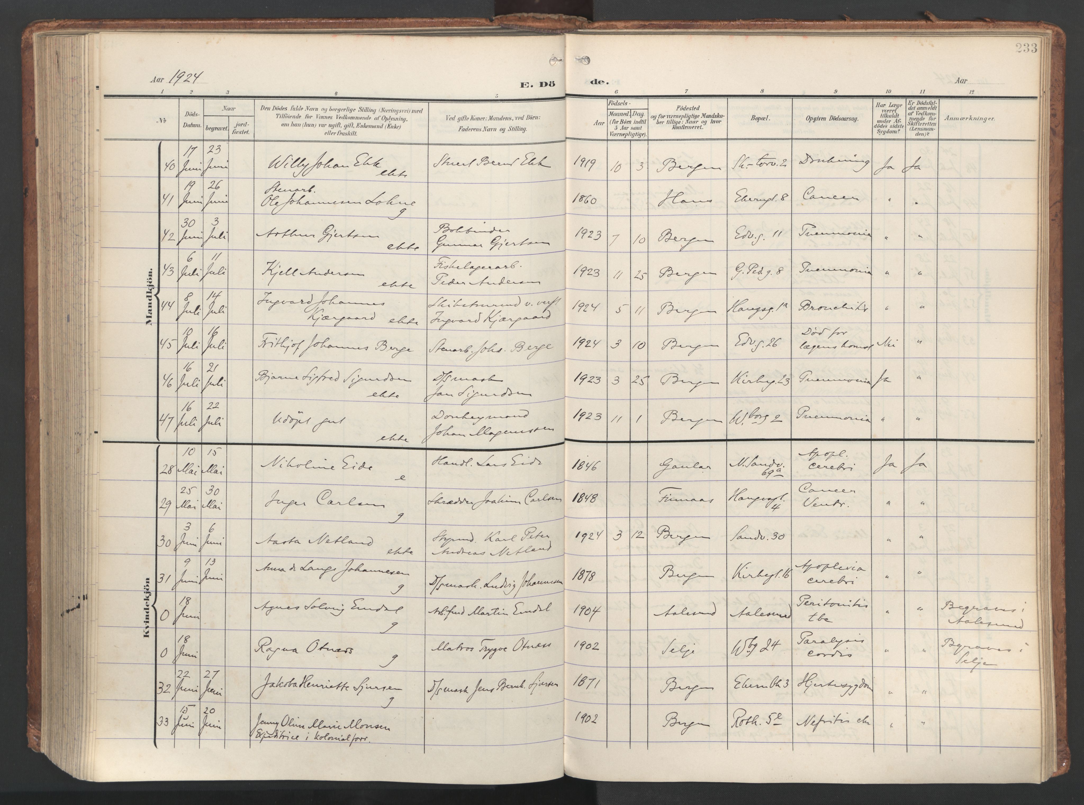 Sandviken Sokneprestembete, AV/SAB-A-77601/H/Ha/L0019: Ministerialbok nr. E 2, 1905-1933, s. 233