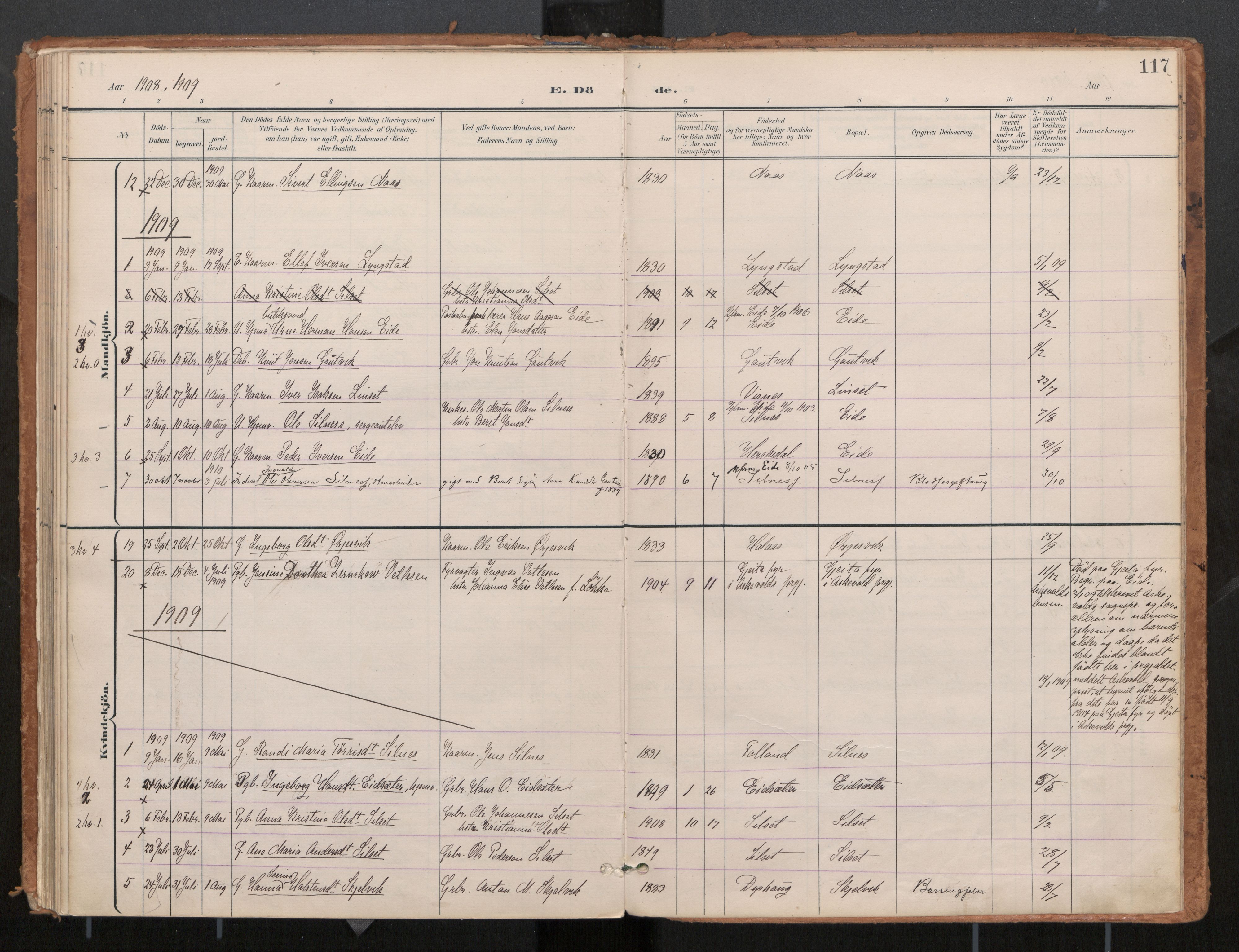 Ministerialprotokoller, klokkerbøker og fødselsregistre - Møre og Romsdal, AV/SAT-A-1454/571/L0836a: Ministerialbok nr. 571A02, 1898-1910, s. 117