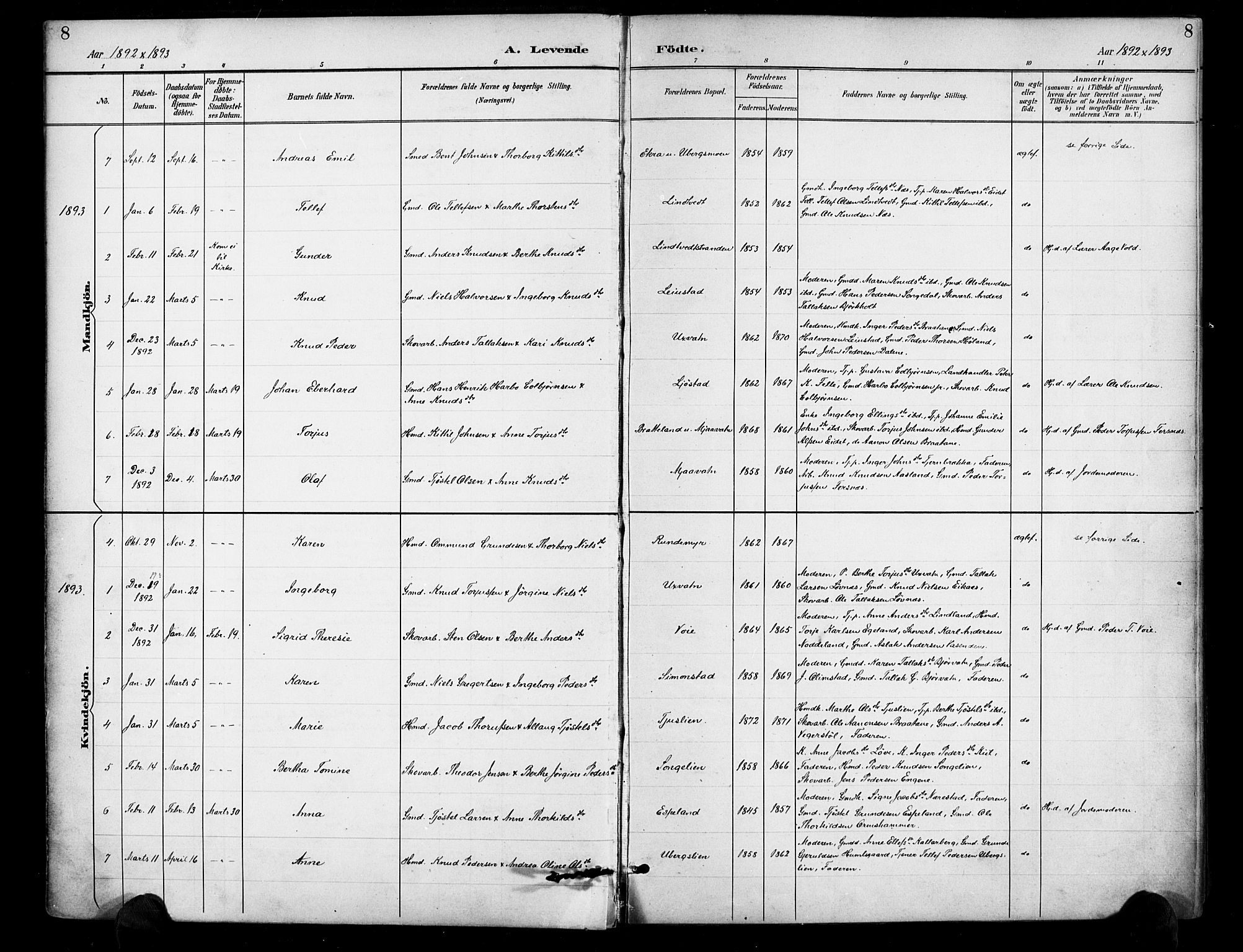 Gjerstad sokneprestkontor, AV/SAK-1111-0014/F/Fa/Fab/L0005: Ministerialbok nr. A 5, 1891-1908, s. 8