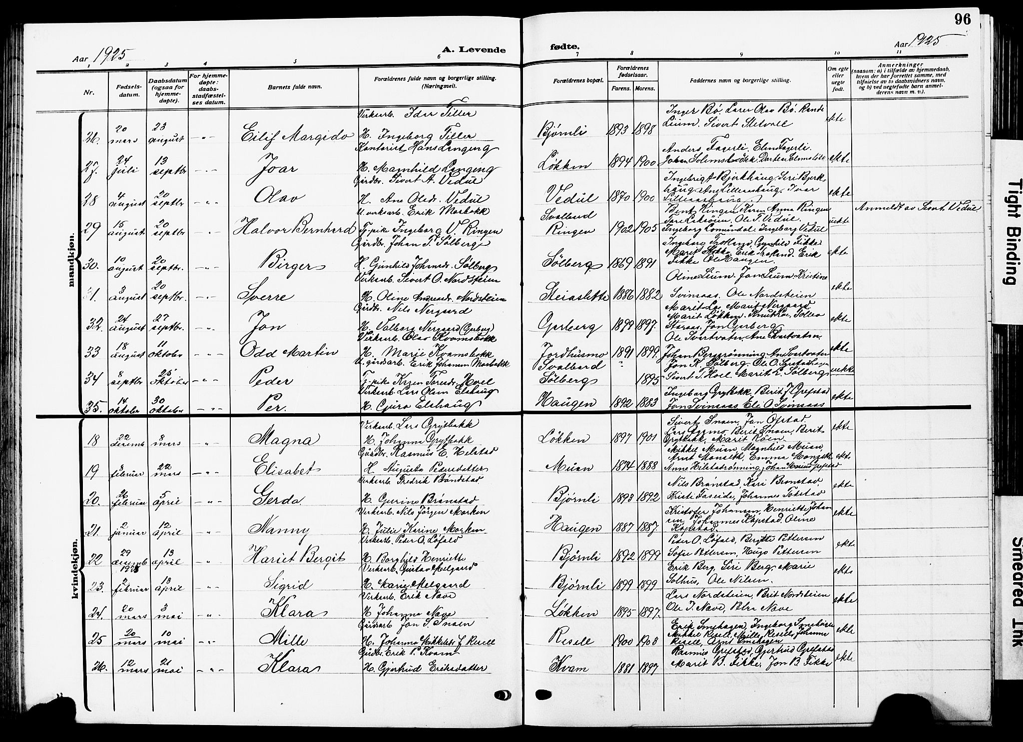 Ministerialprotokoller, klokkerbøker og fødselsregistre - Sør-Trøndelag, AV/SAT-A-1456/672/L0865: Klokkerbok nr. 672C04, 1914-1928, s. 96