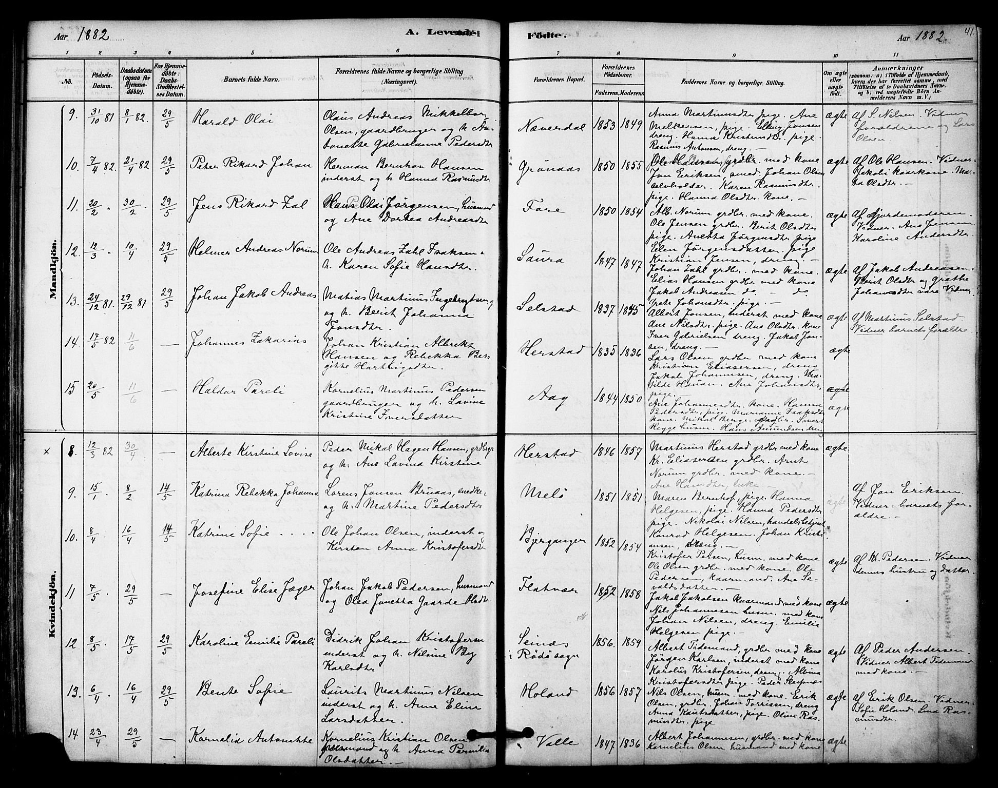 Ministerialprotokoller, klokkerbøker og fødselsregistre - Nordland, AV/SAT-A-1459/843/L0626: Ministerialbok nr. 843A01, 1878-1907, s. 41
