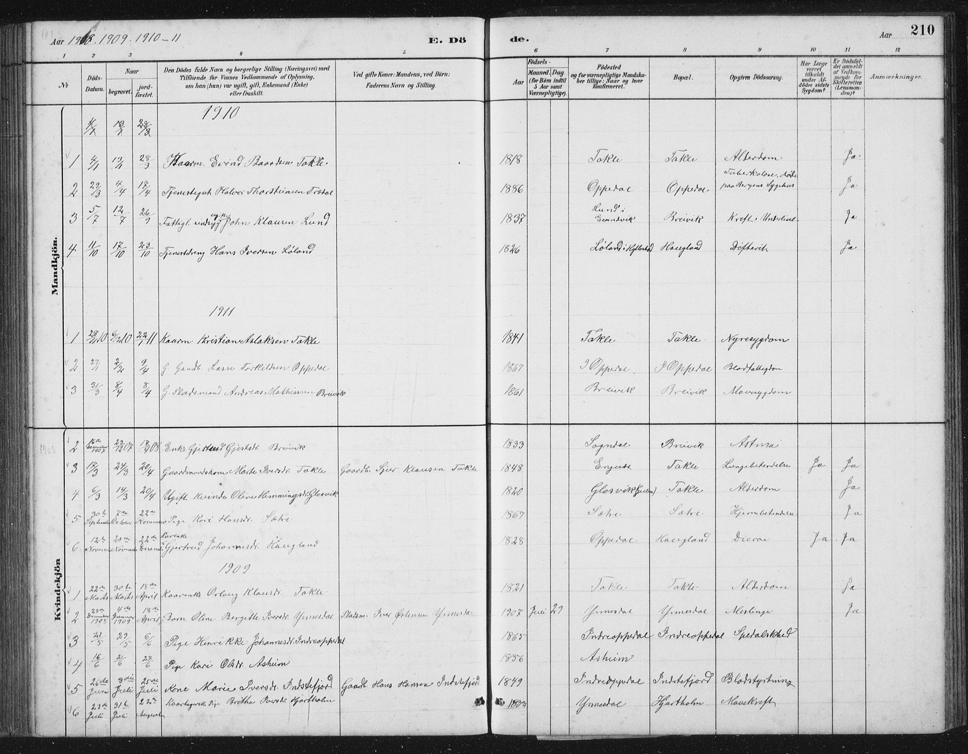 Gulen sokneprestembete, AV/SAB-A-80201/H/Hab/Habc/L0002: Klokkerbok nr. C 2, 1880-1938, s. 210